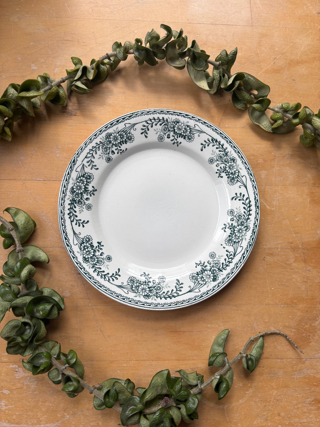 Christiane by St. Amand Transferware Plate