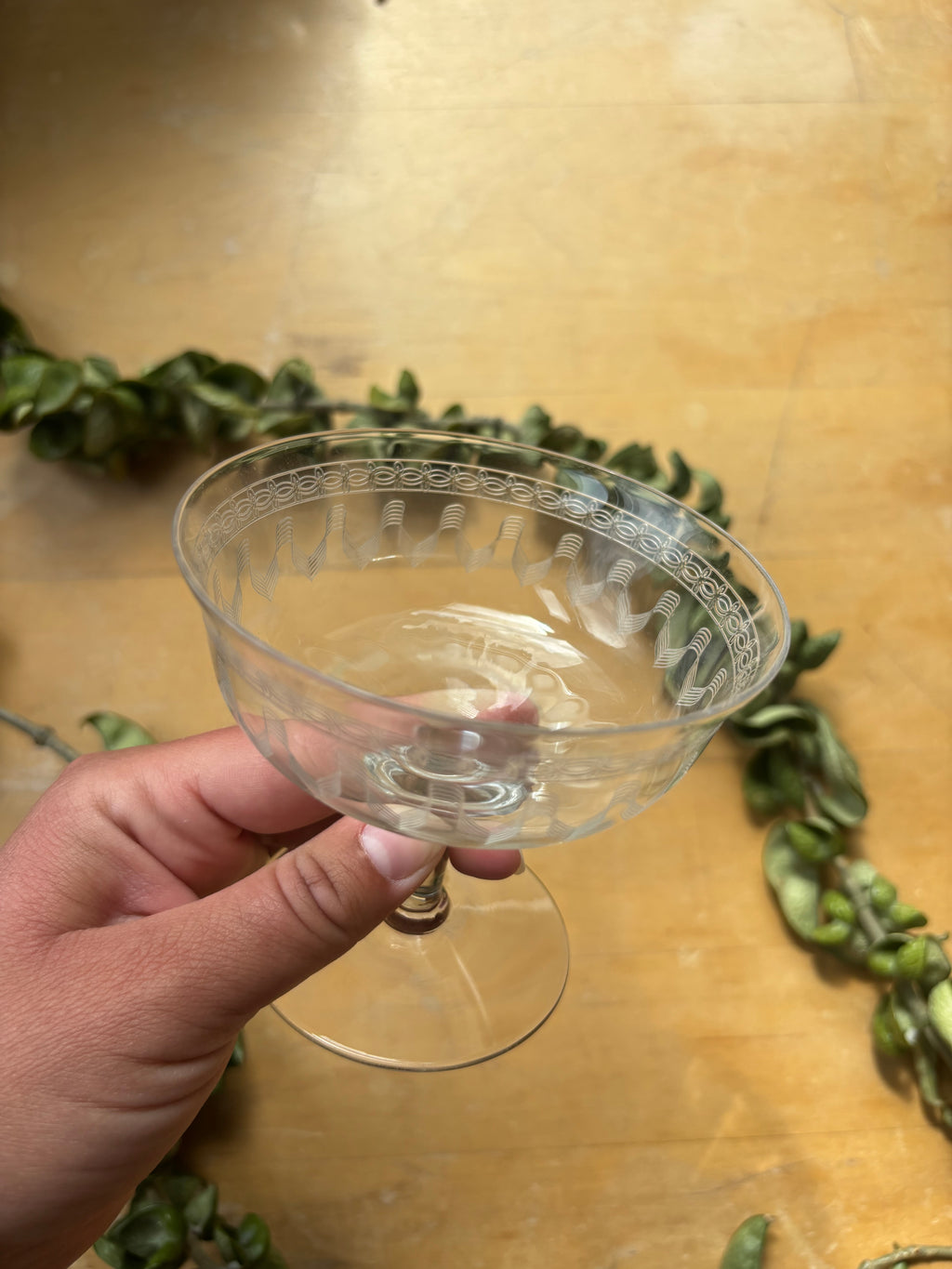 Fostoria "Lenore" Coupes - Set of 4