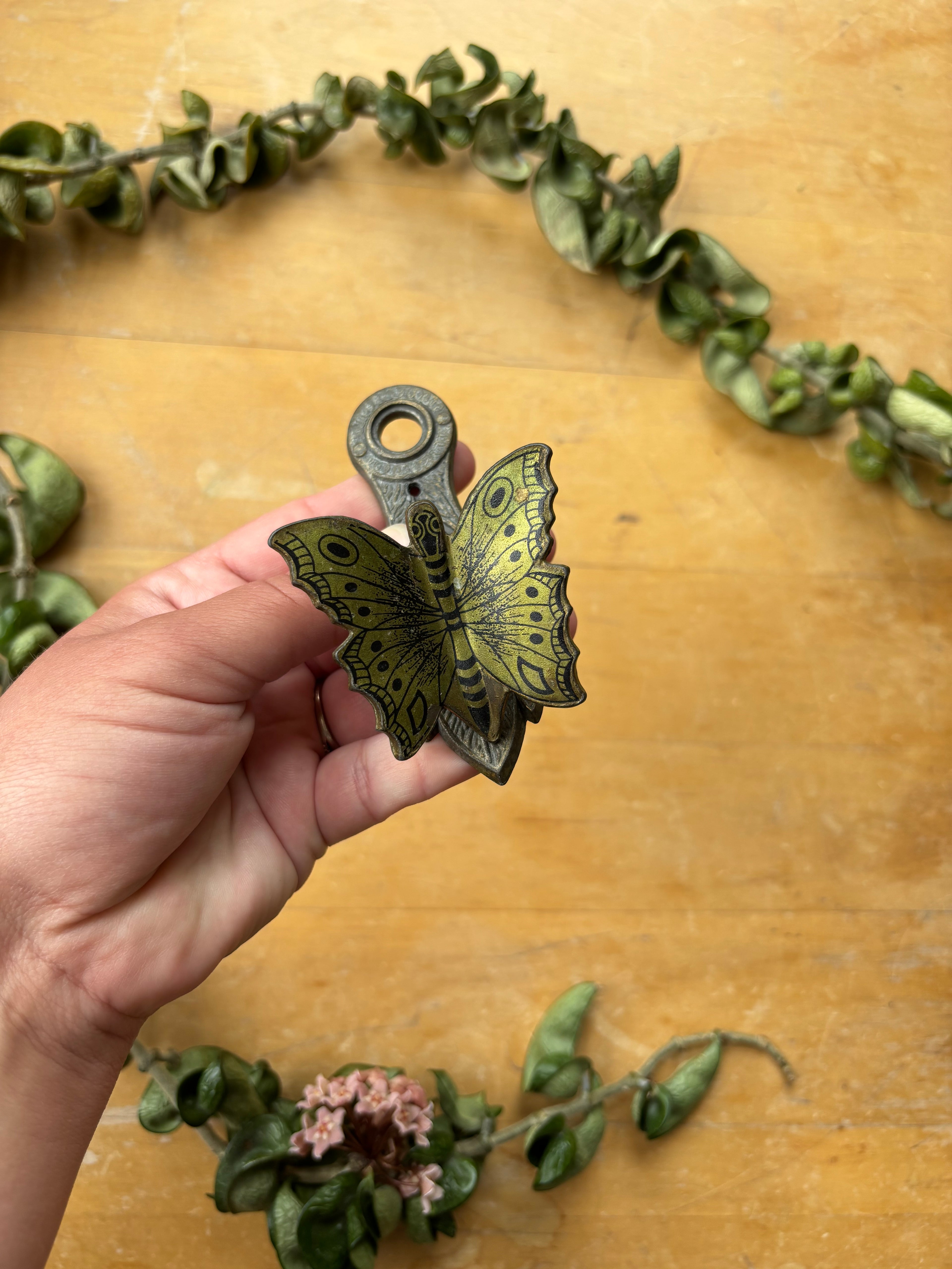 Butterfly Brass Clip