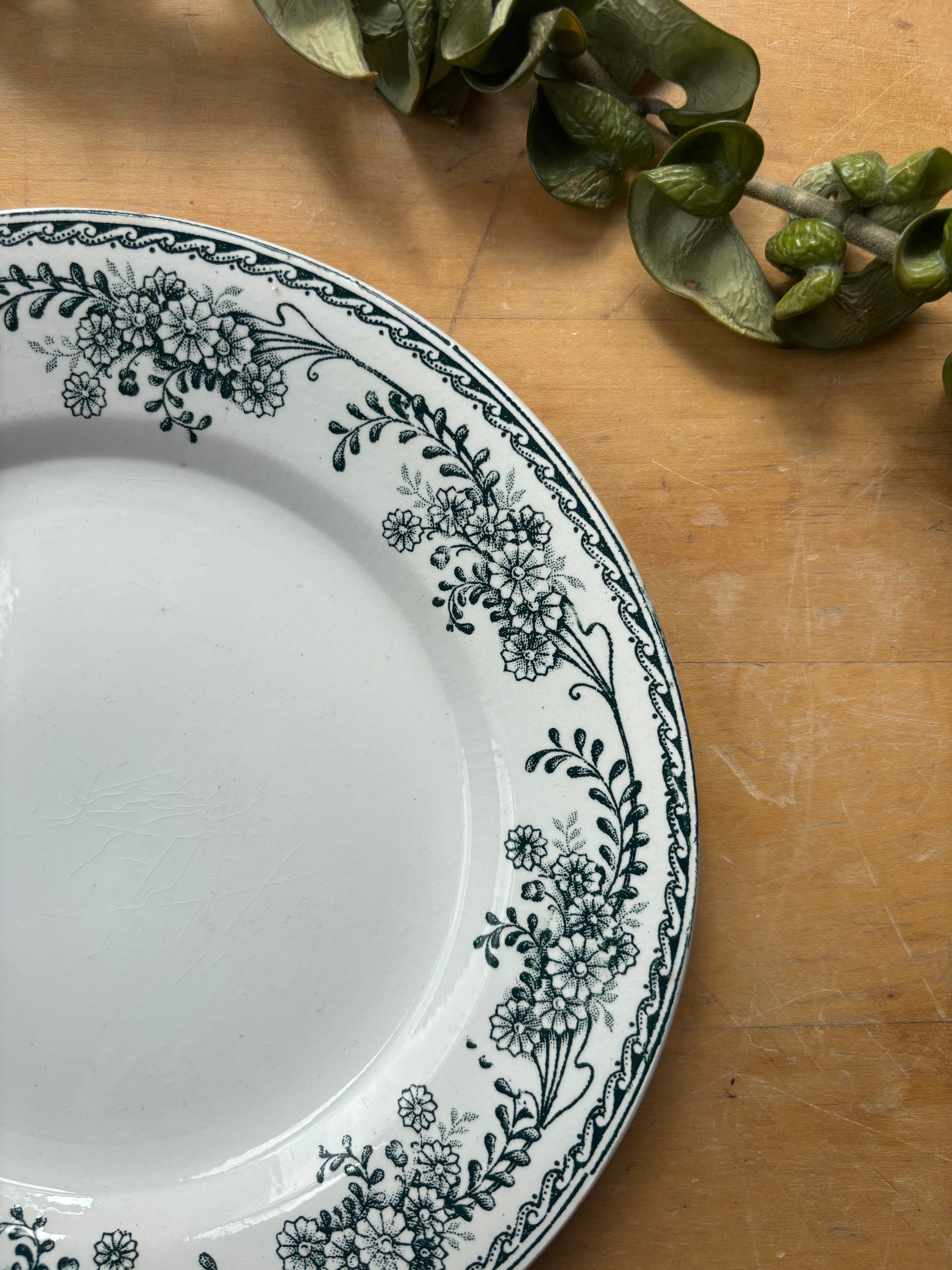Christiane by St. Amand Transferware Plate
