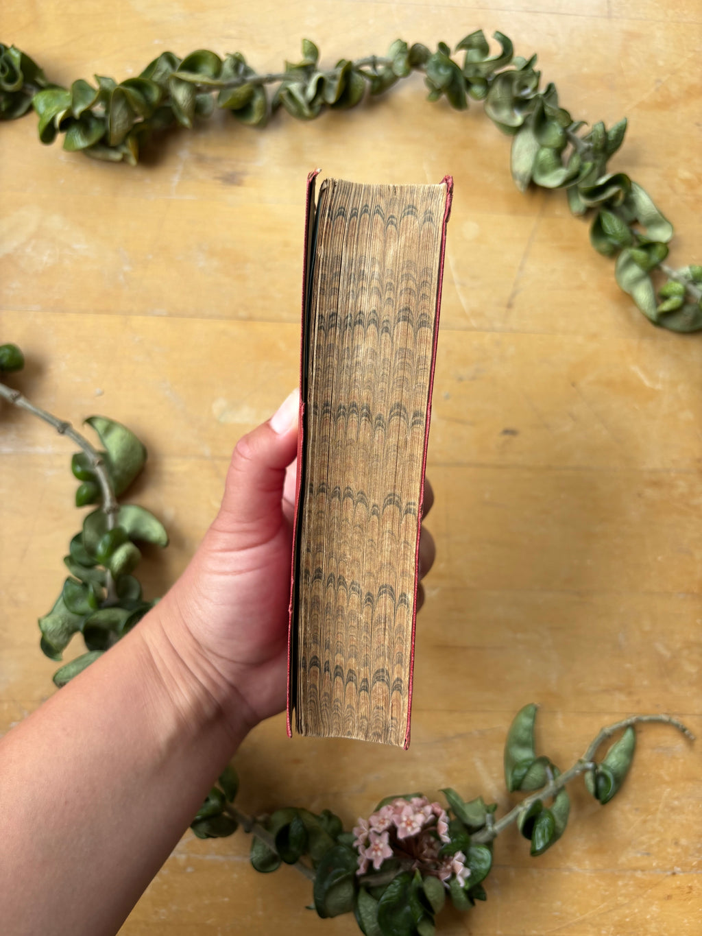 Baedeker's "Switzerland" Travel Book