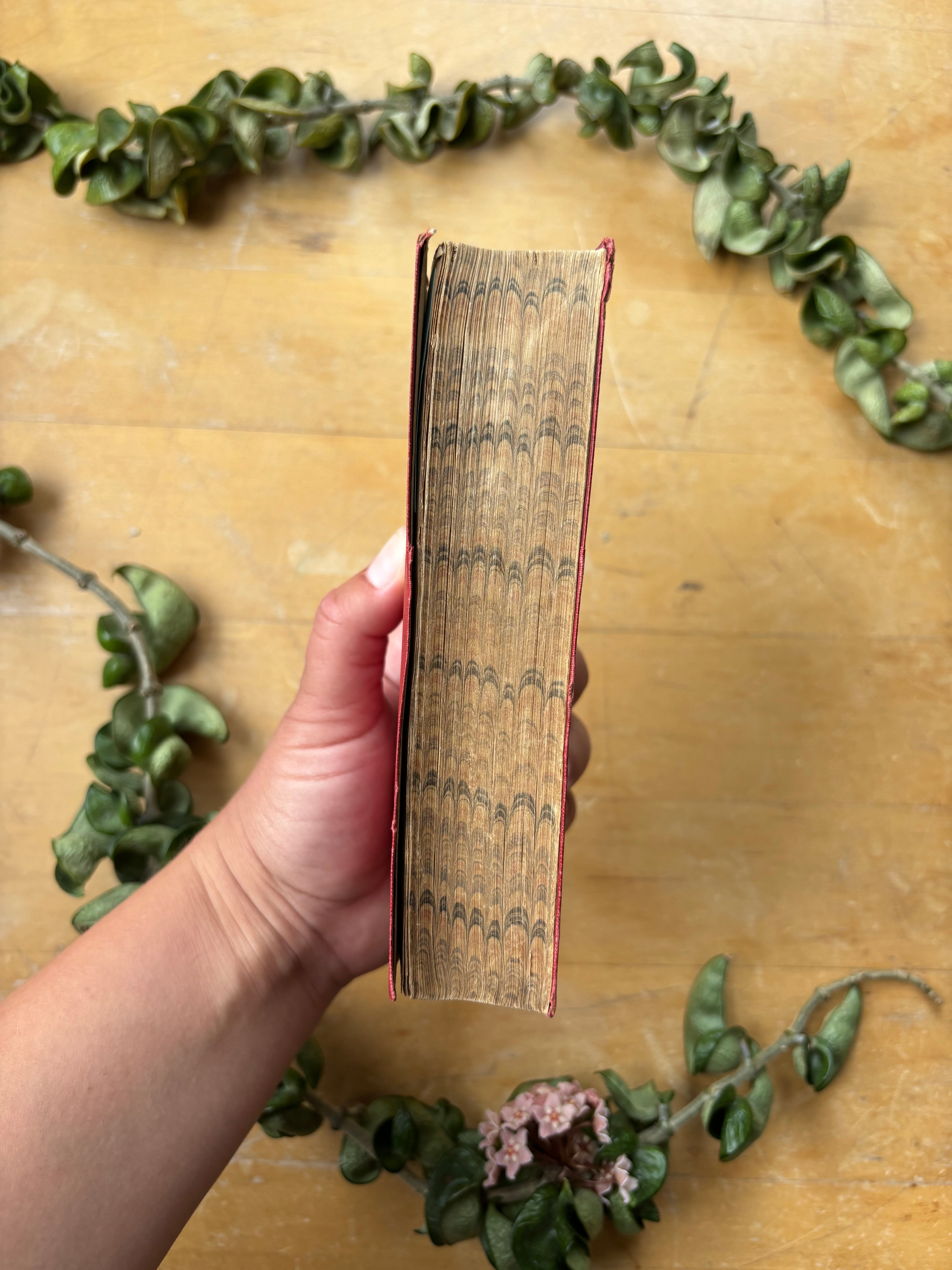 Baedeker's "Switzerland" Travel Book