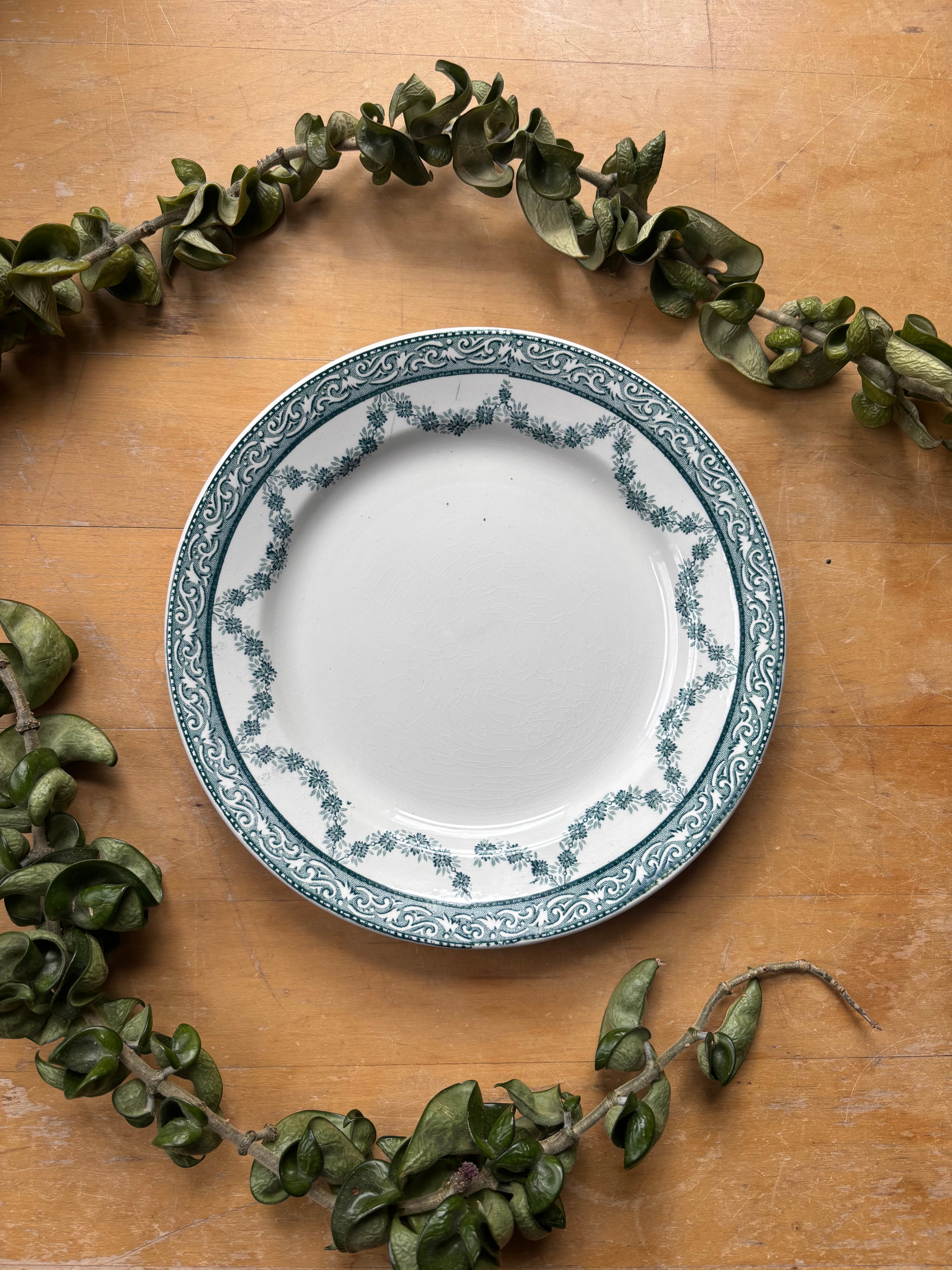 Lola by Moulin des Loups & Hamage Transferware Plate