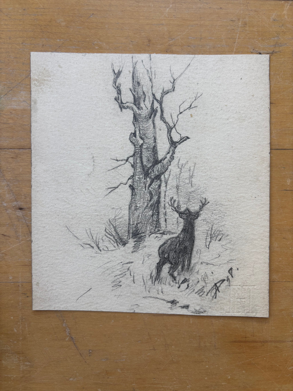 Forest with Stag Pencil Drawing