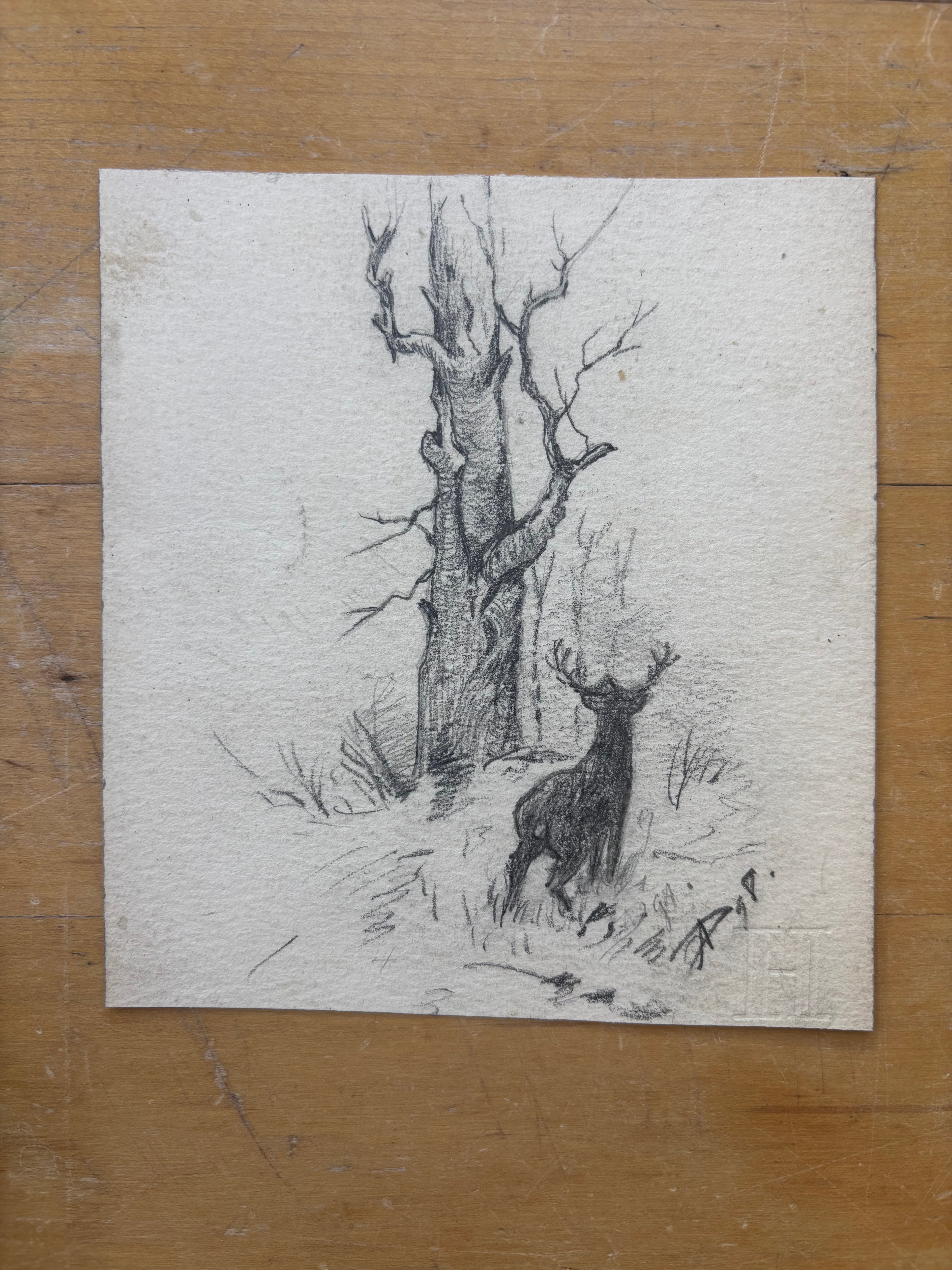 Forest with Stag Pencil Drawing