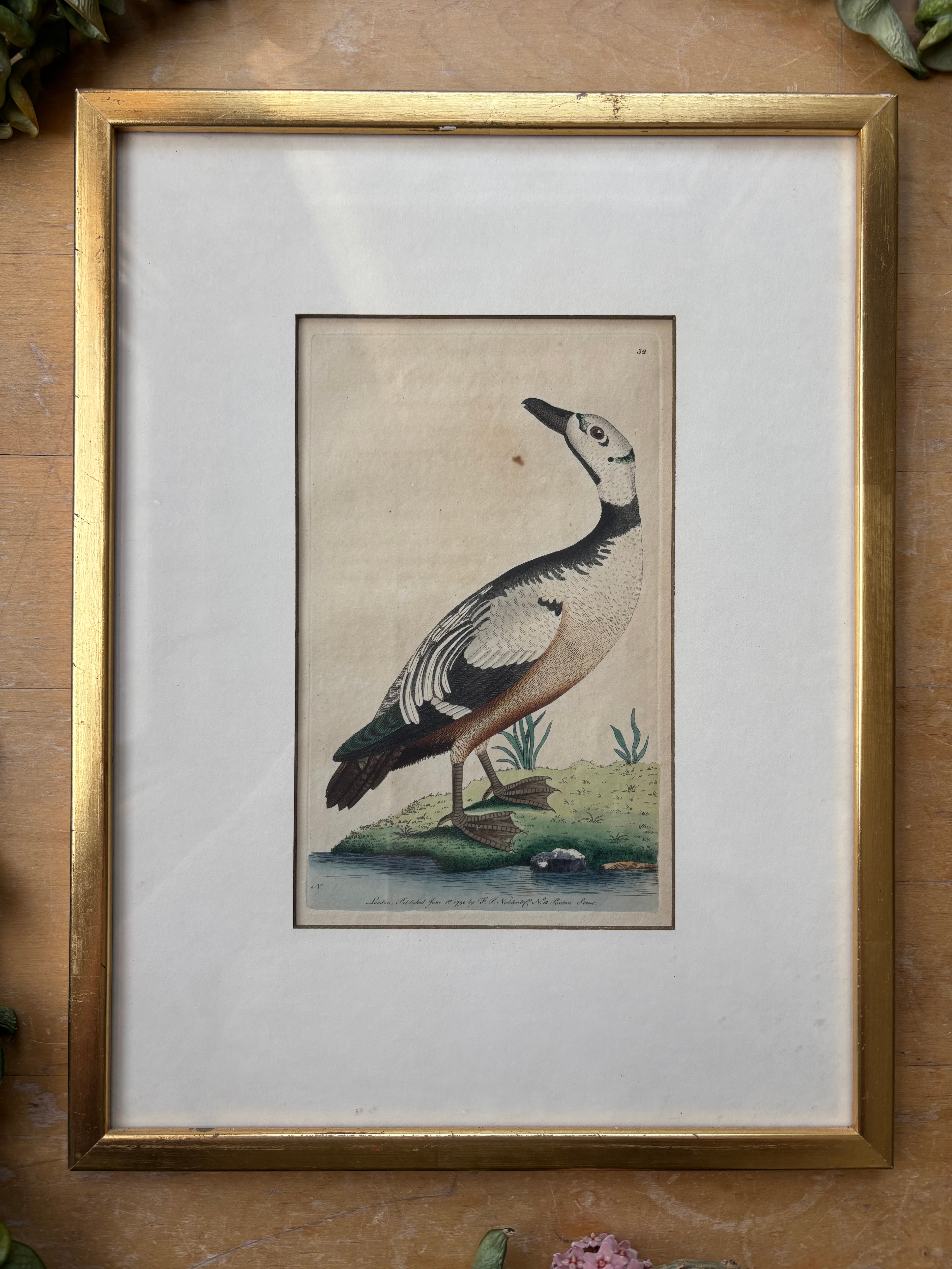 Antique Western Duck Etching