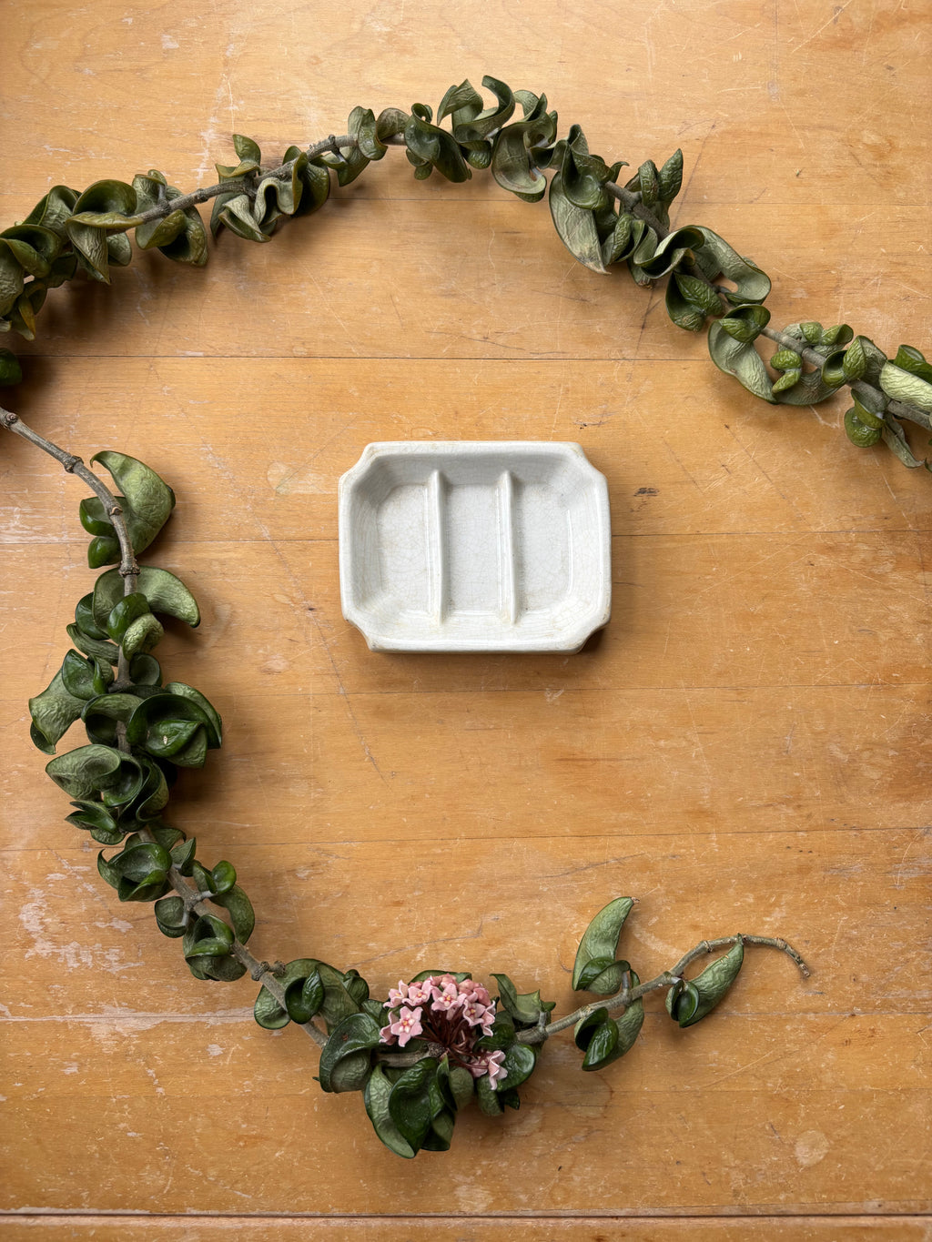 Ironstone Soap Dish