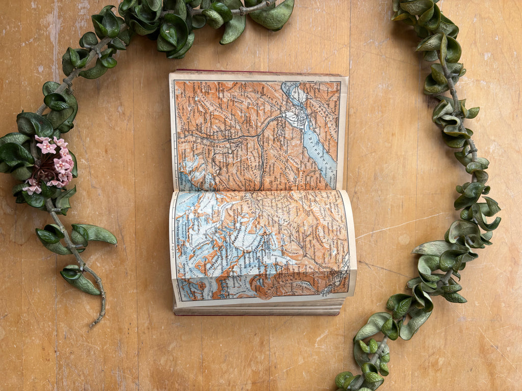Baedeker's "Switzerland" Travel Book