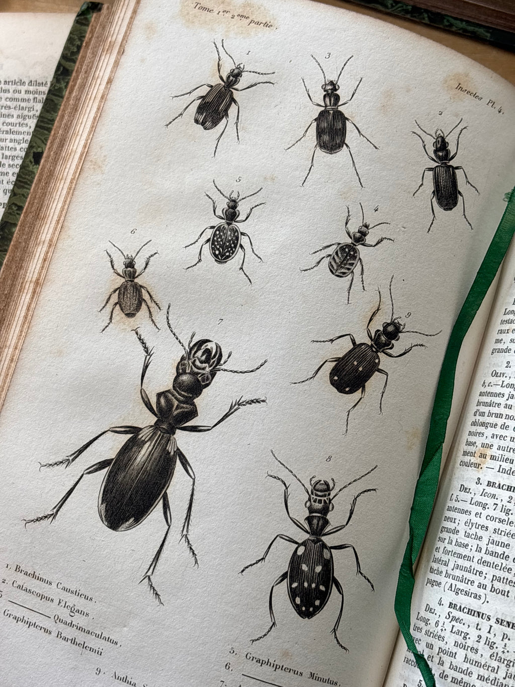 "Histoire des Insects" Volumes 1-4, 1840