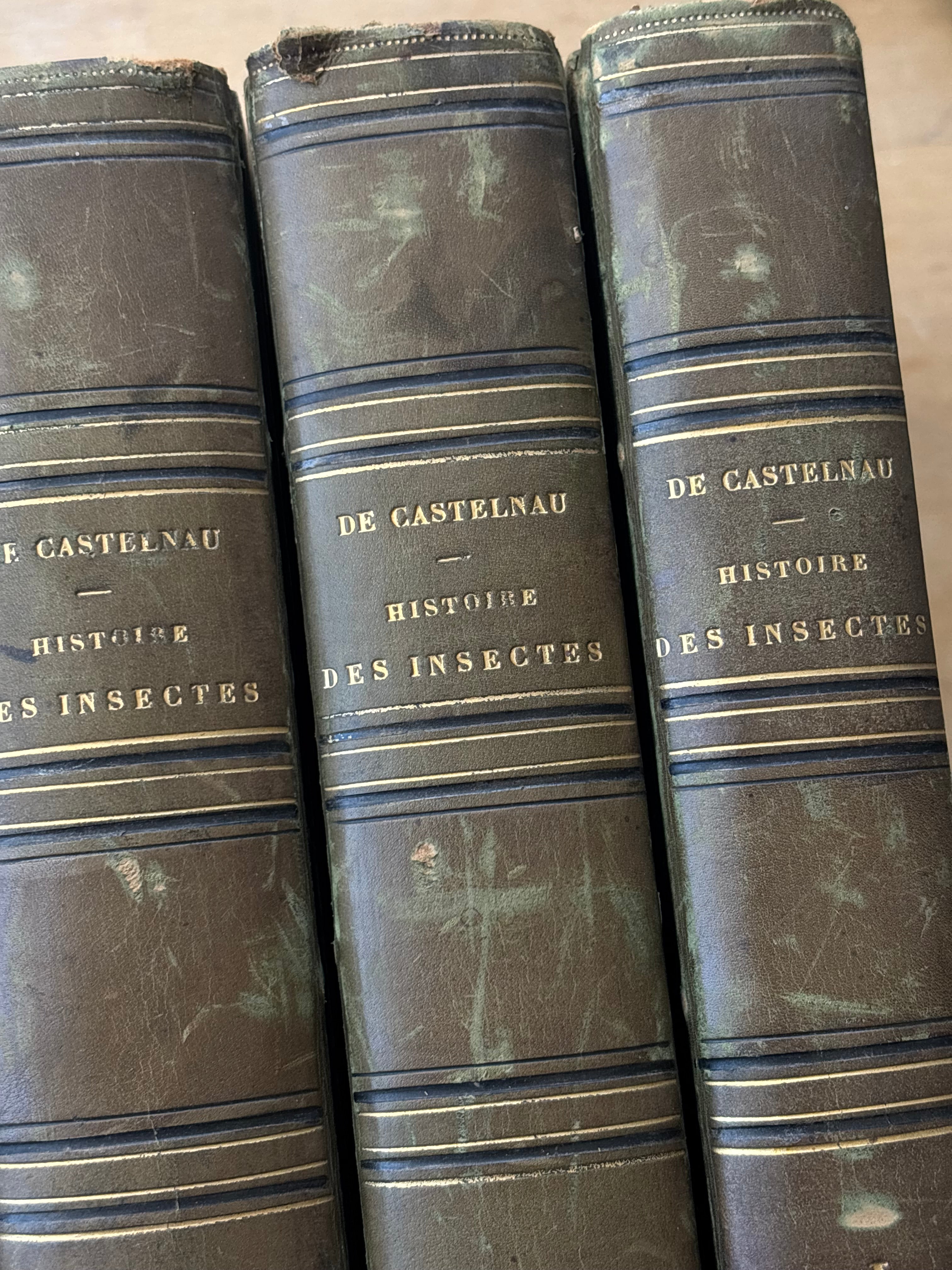 "Histoire des Insects" Volumes 1-4, 1840