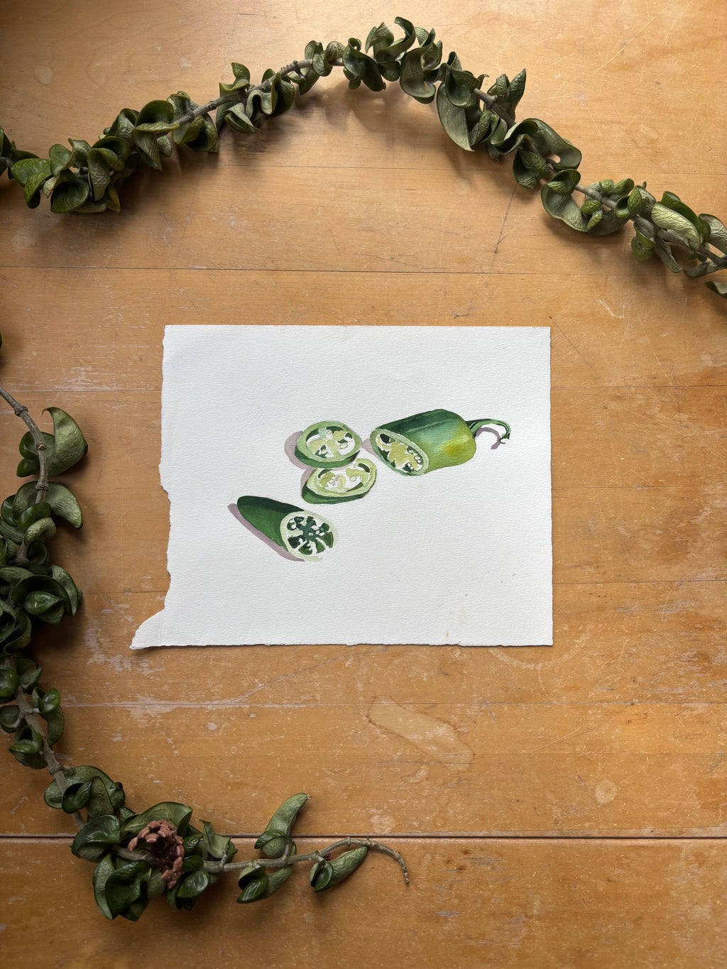 Sliced Jalapeno Watercolor