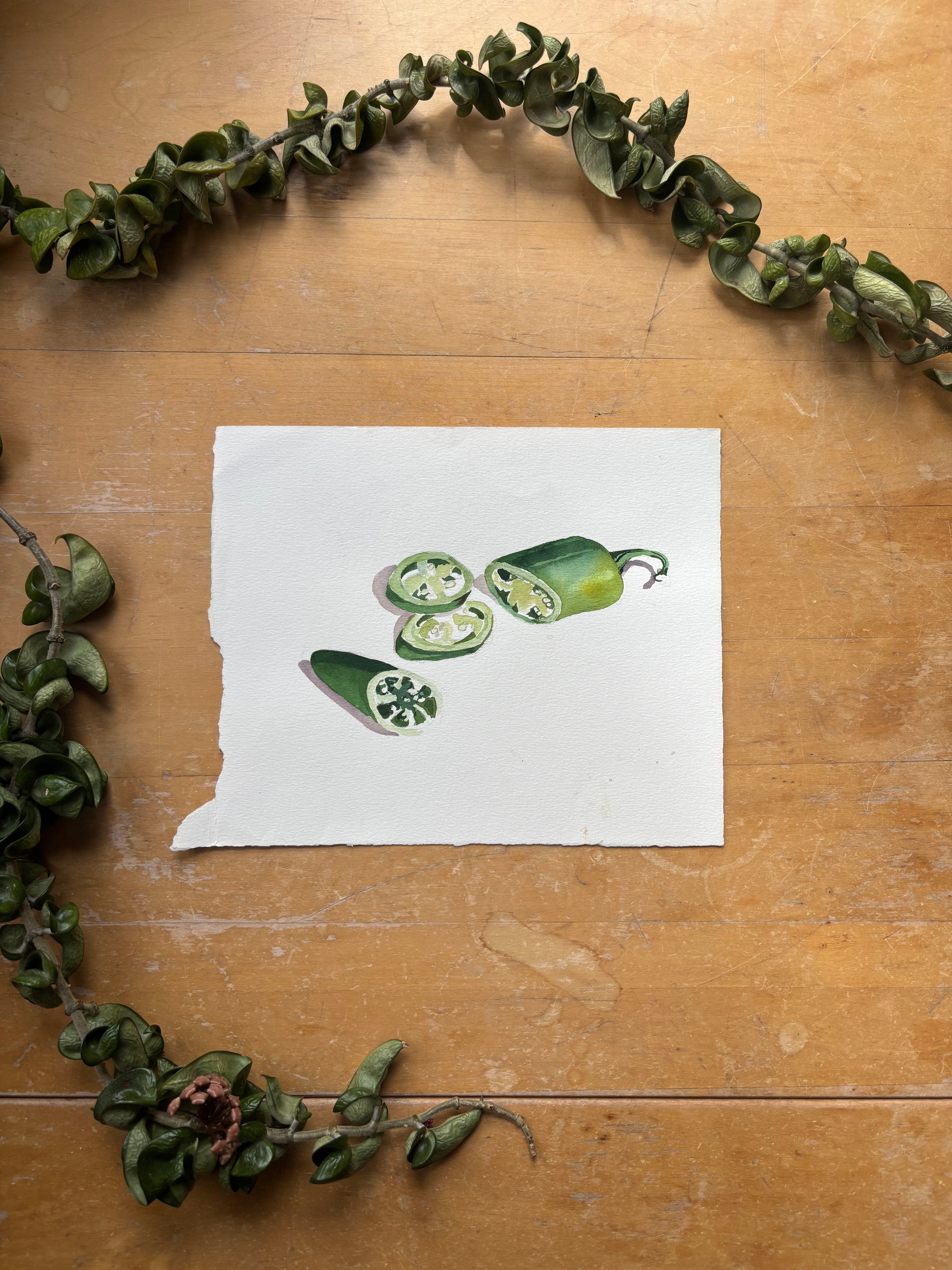 Sliced Jalapeno Watercolor