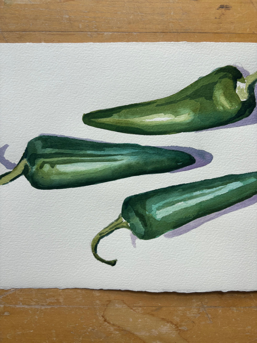 Whole Jalapeno Watercolor
