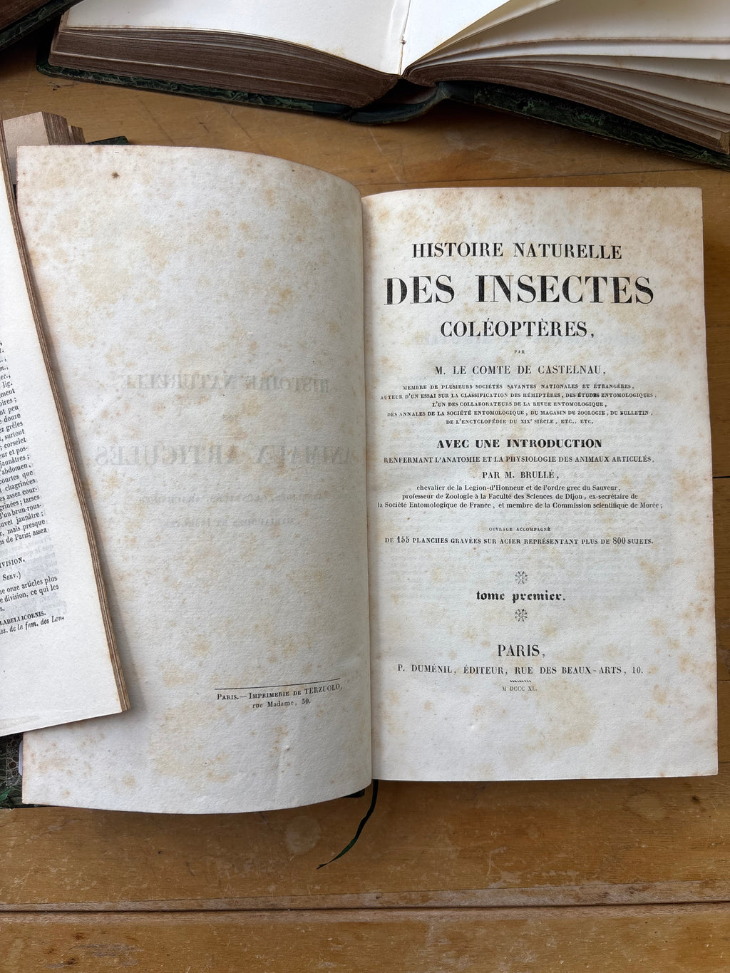 "Histoire des Insects" Volumes 1-4, 1840