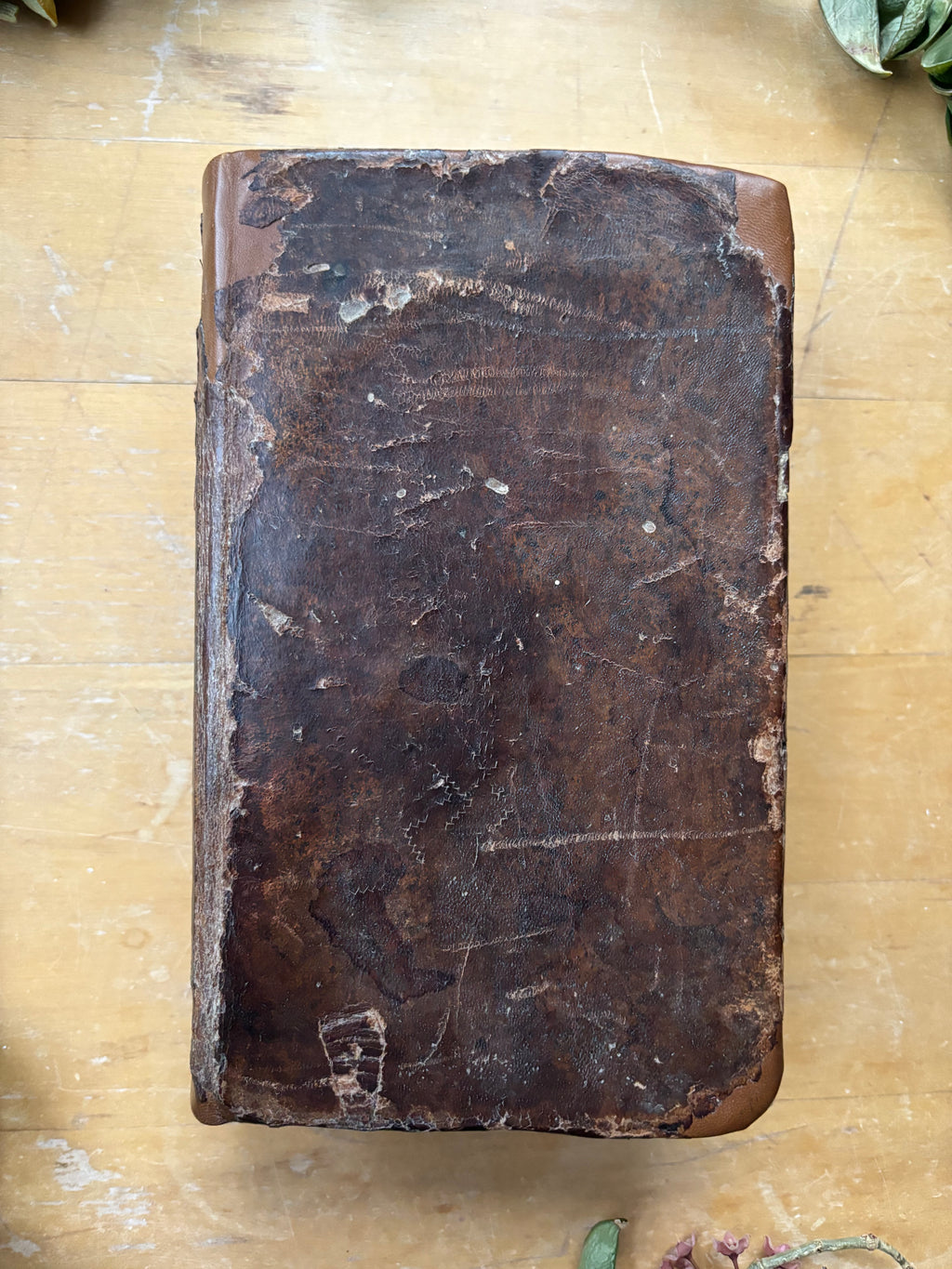 1833 "Vocabulaire De L'Academic"