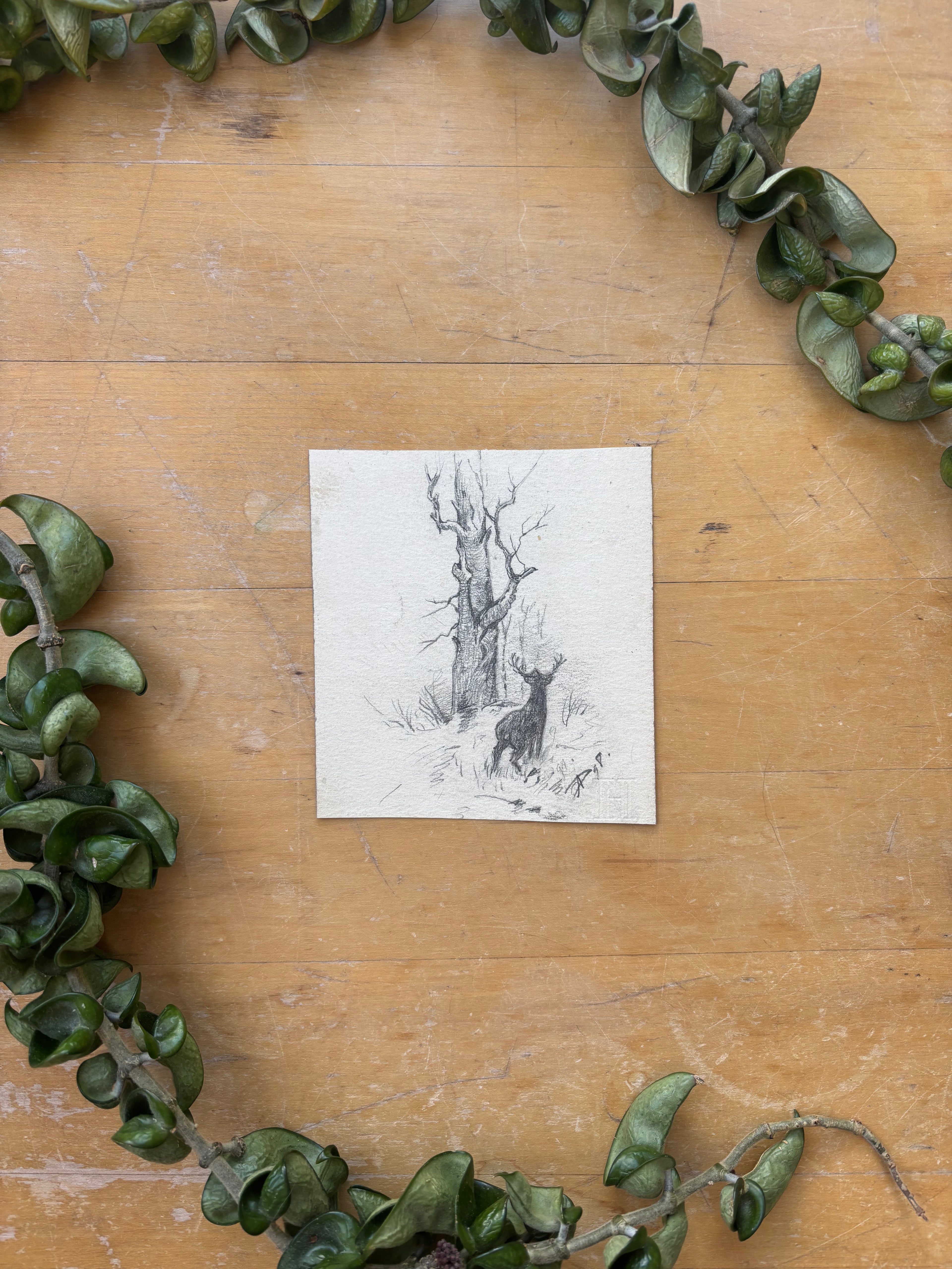 Forest with Stag Pencil Drawing