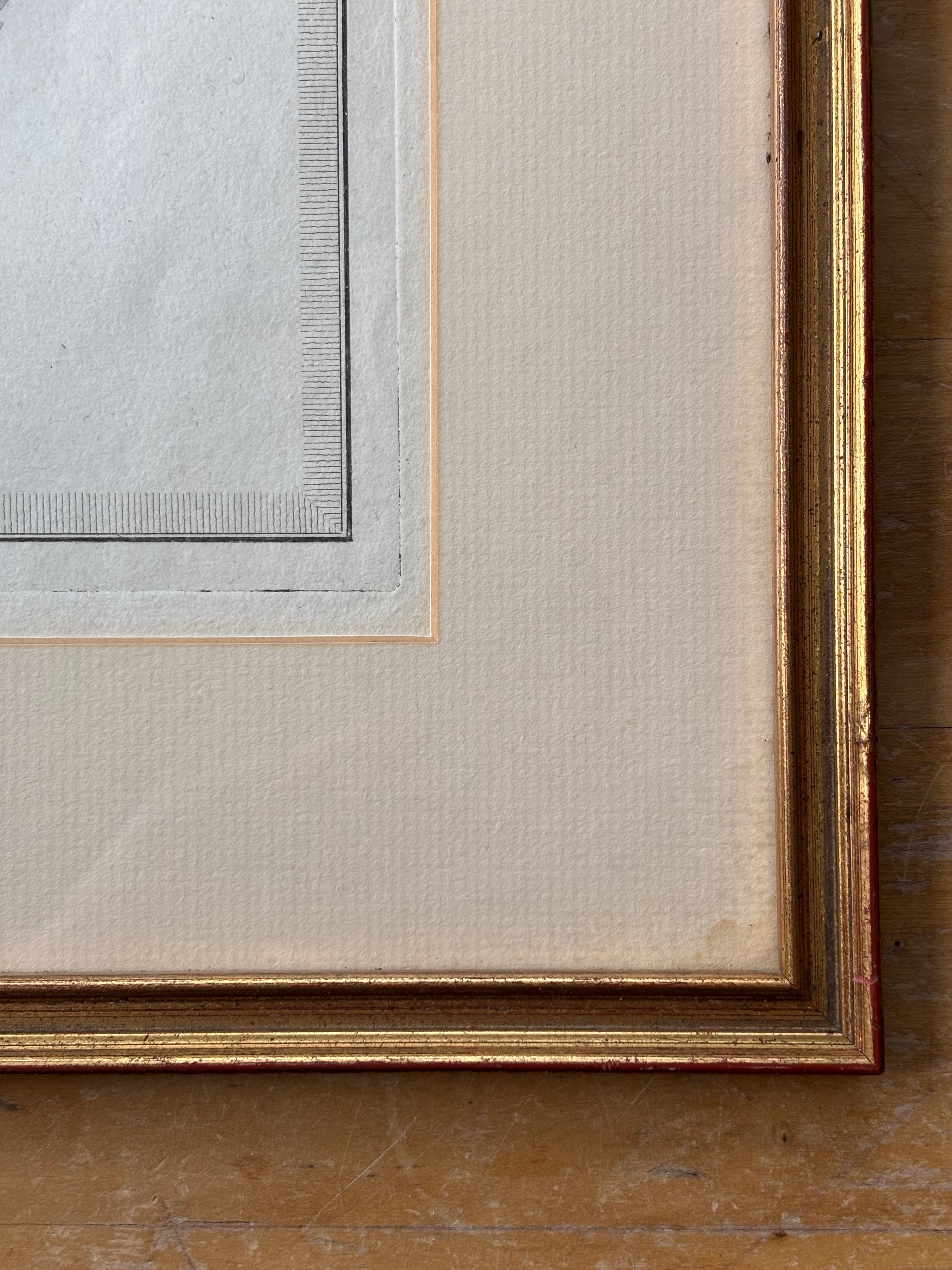 "Trophy" from "Livre de Trophees des Arts et Sciences" Antique Etching