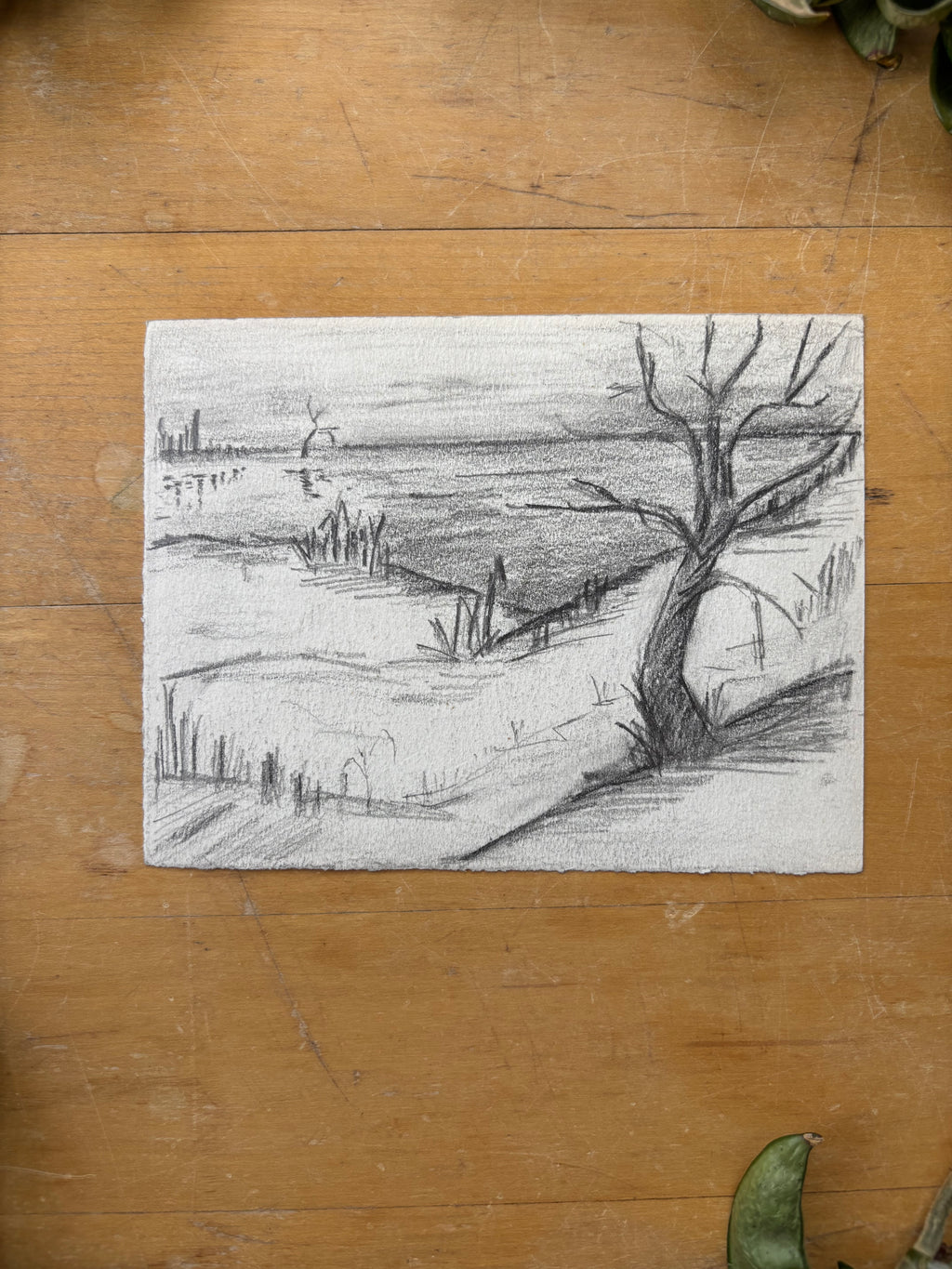 Winter '81 French Pencil Sketch