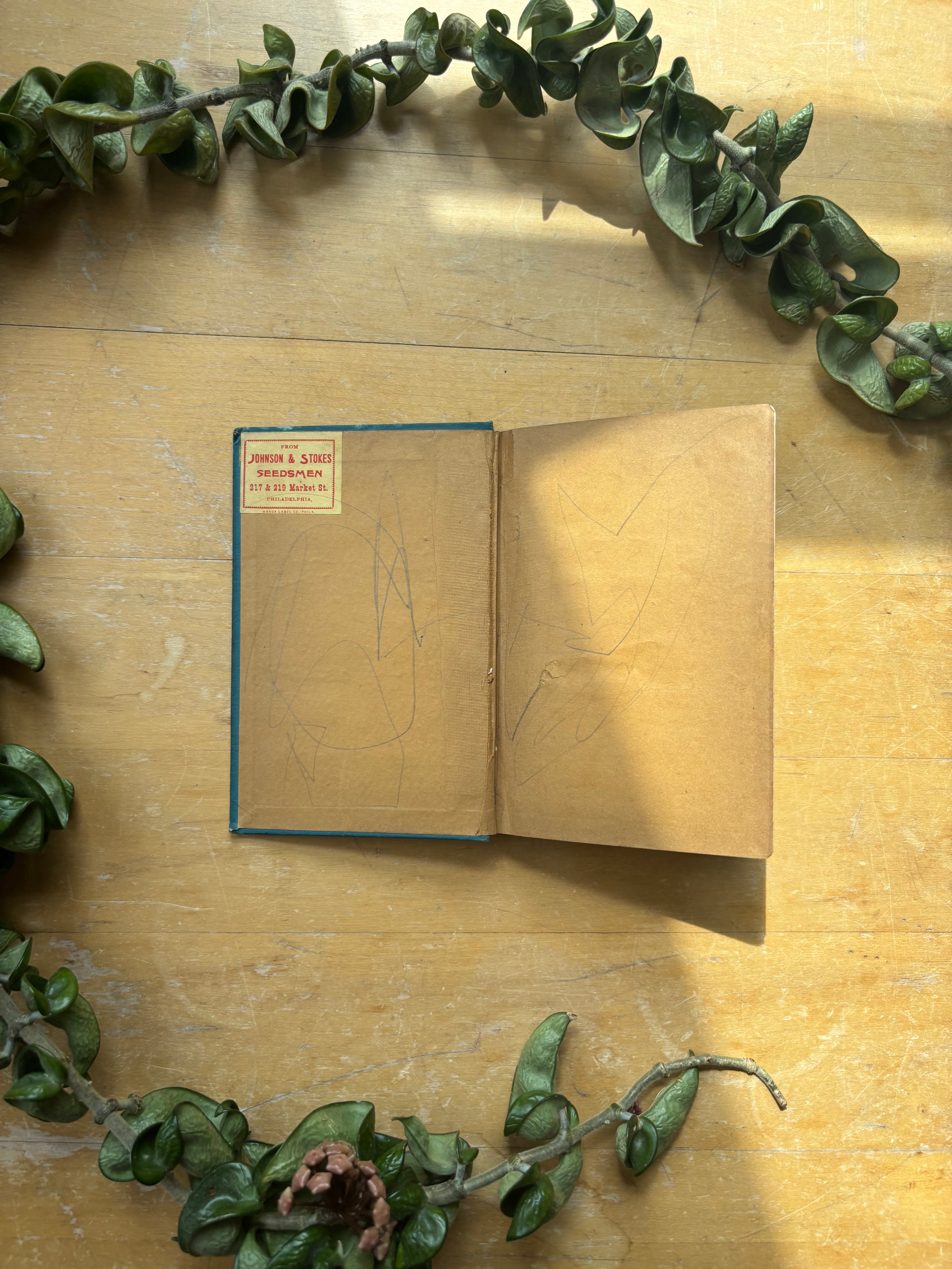 Biggle Berry Book