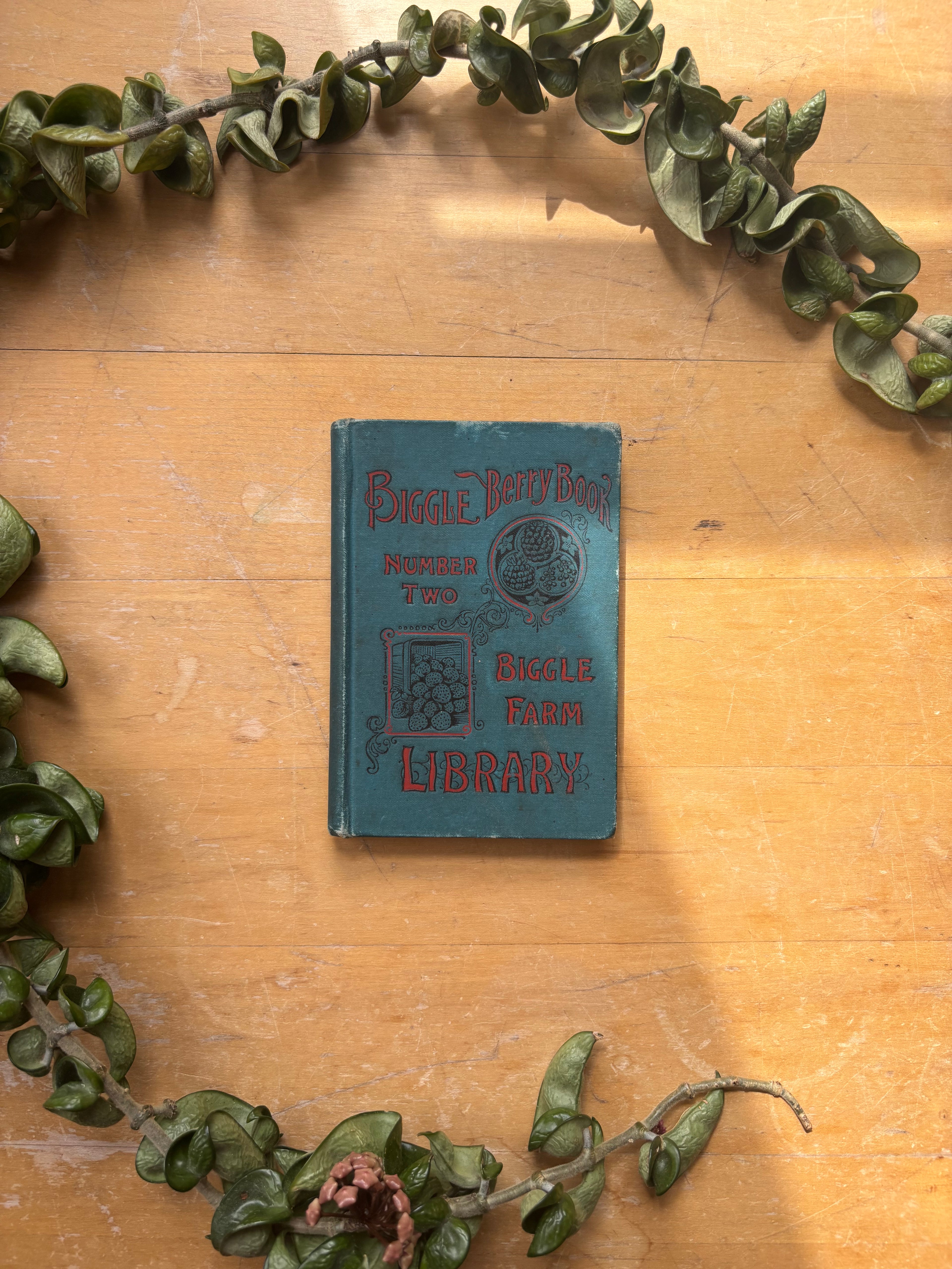 Biggle Berry Book