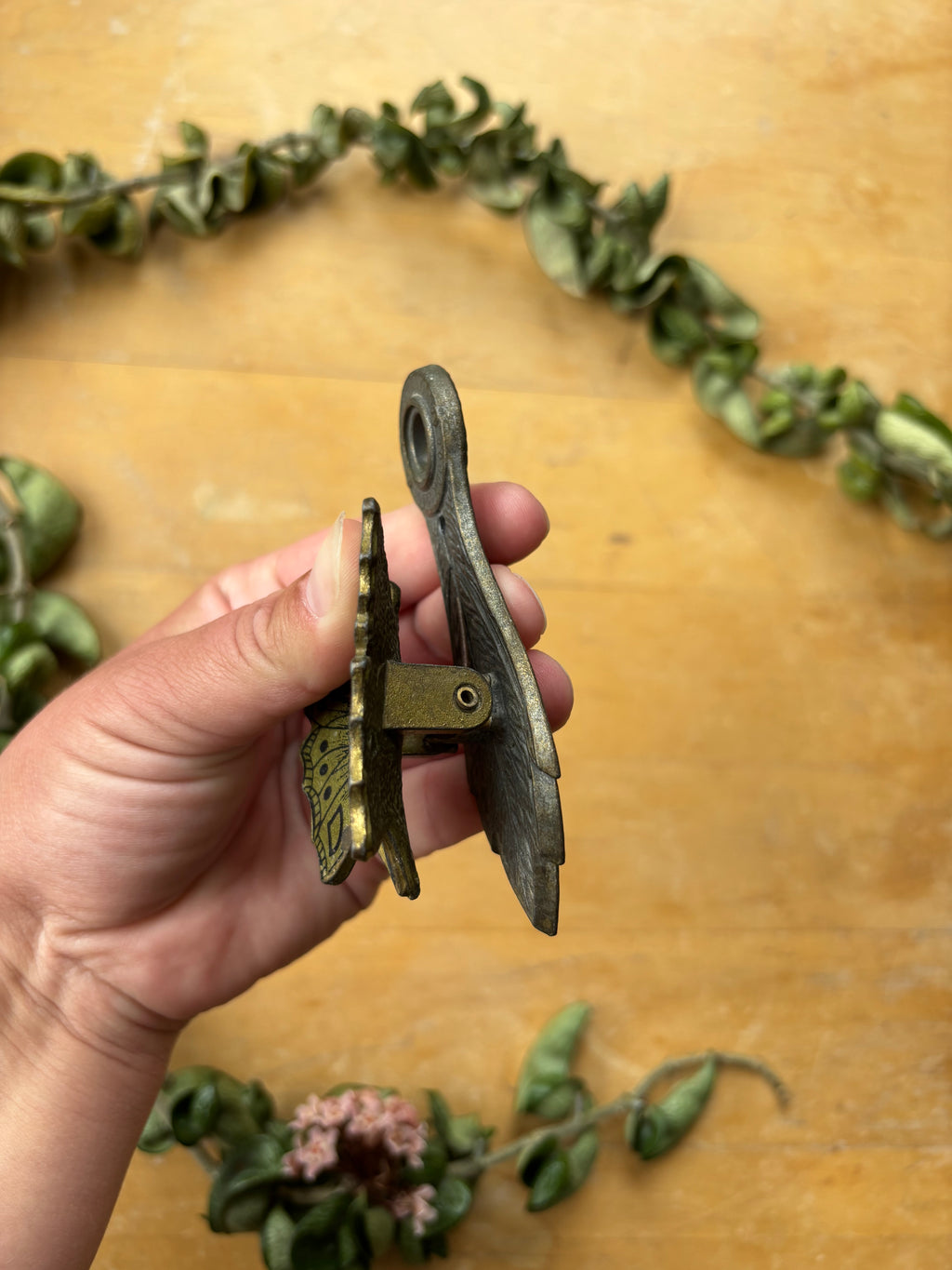 Butterfly Brass Clip