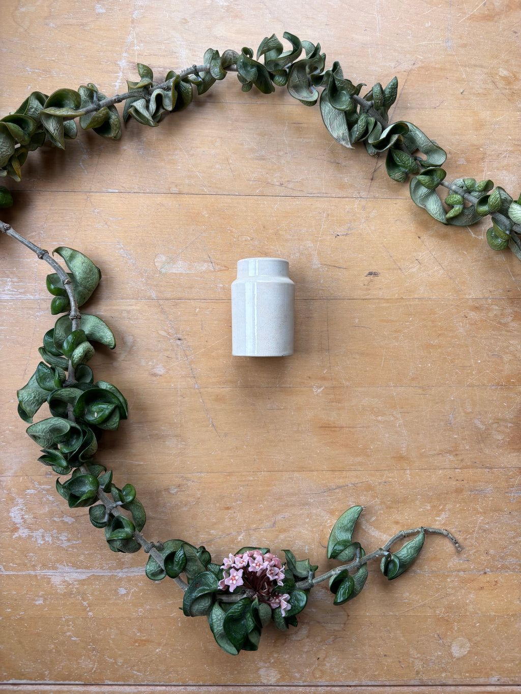 Miniature Moutard Terre de Fer Jar