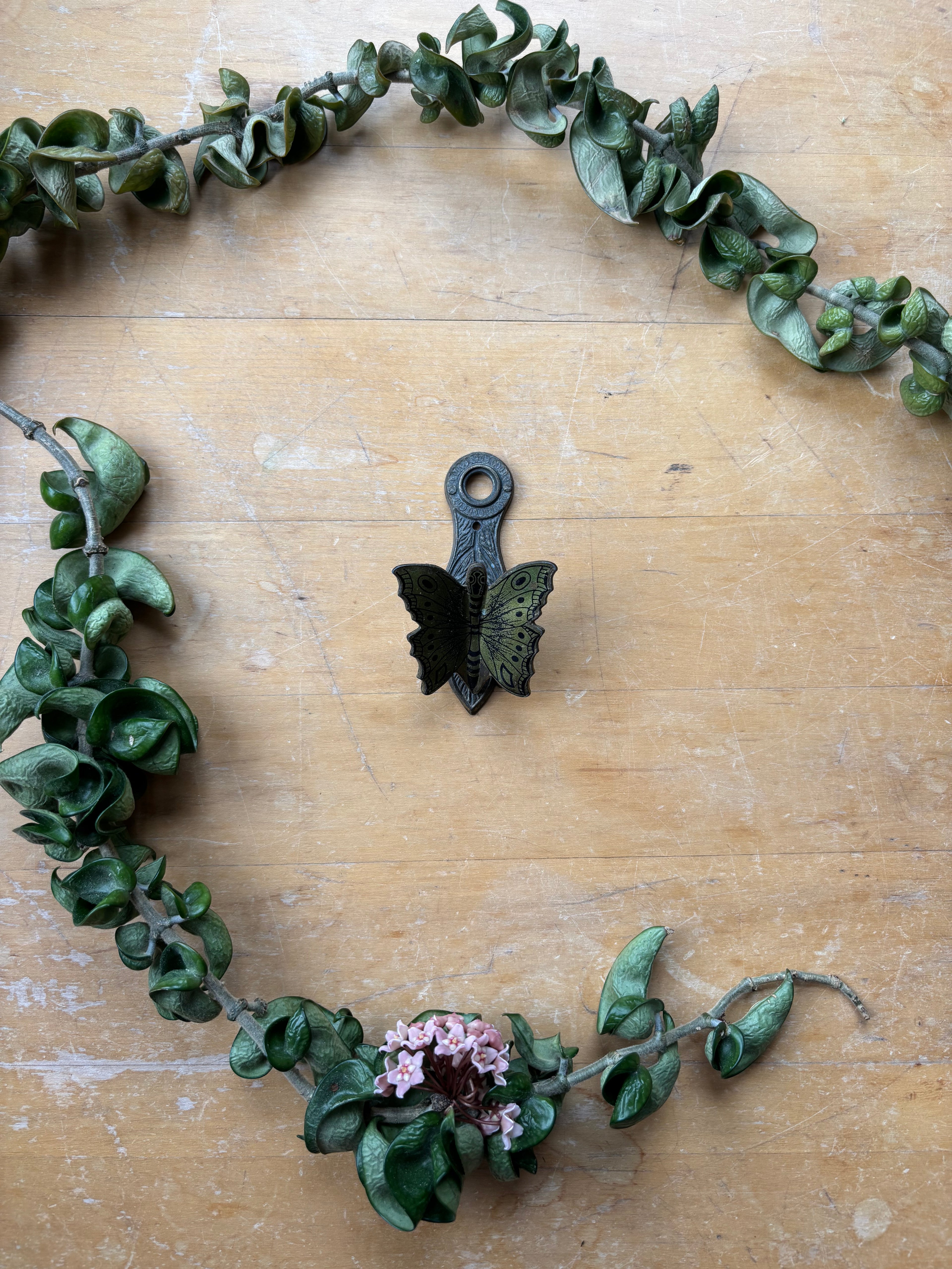 Butterfly Brass Clip