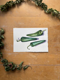 Whole Jalapeno Watercolor