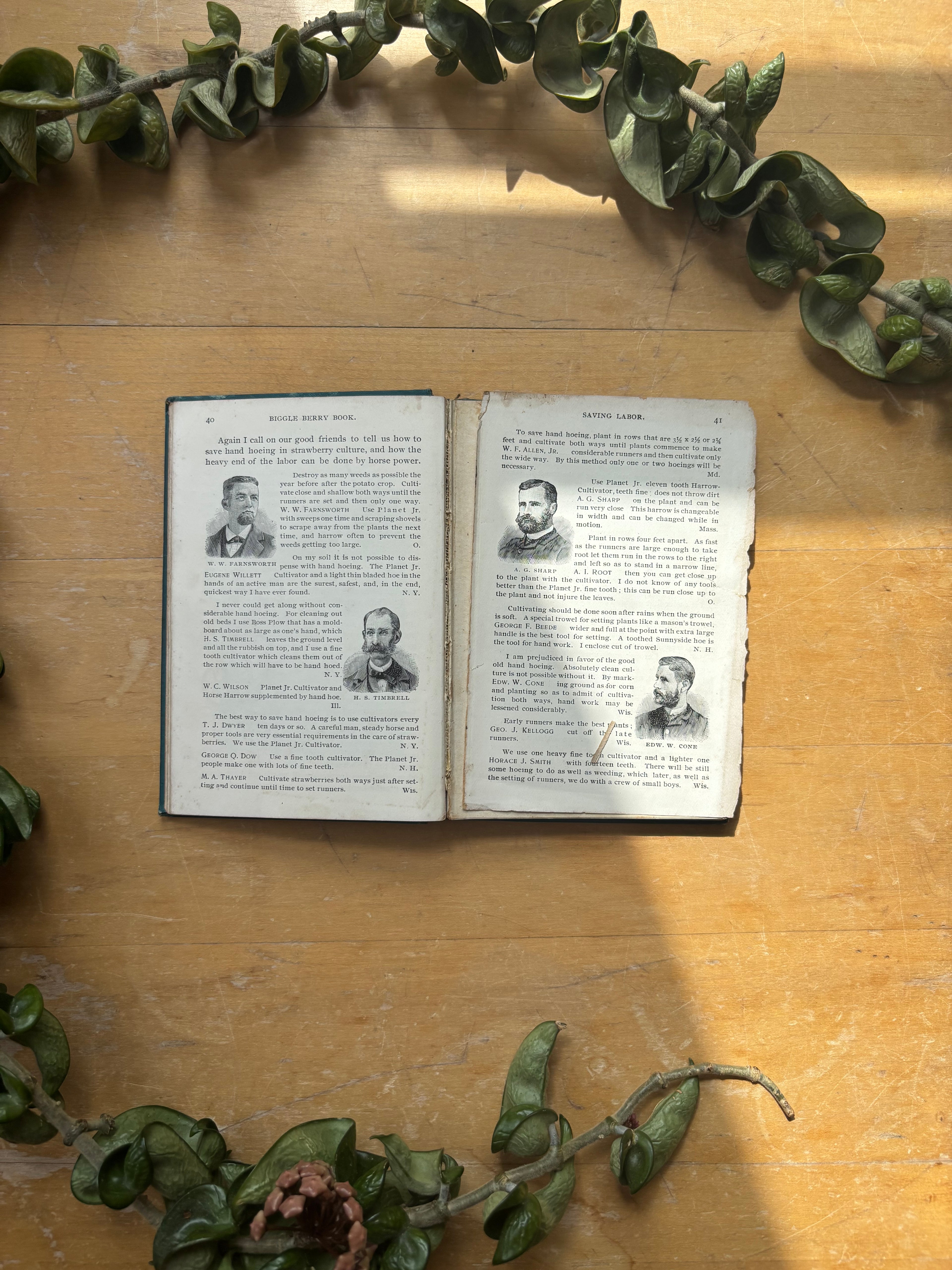 Biggle Berry Book