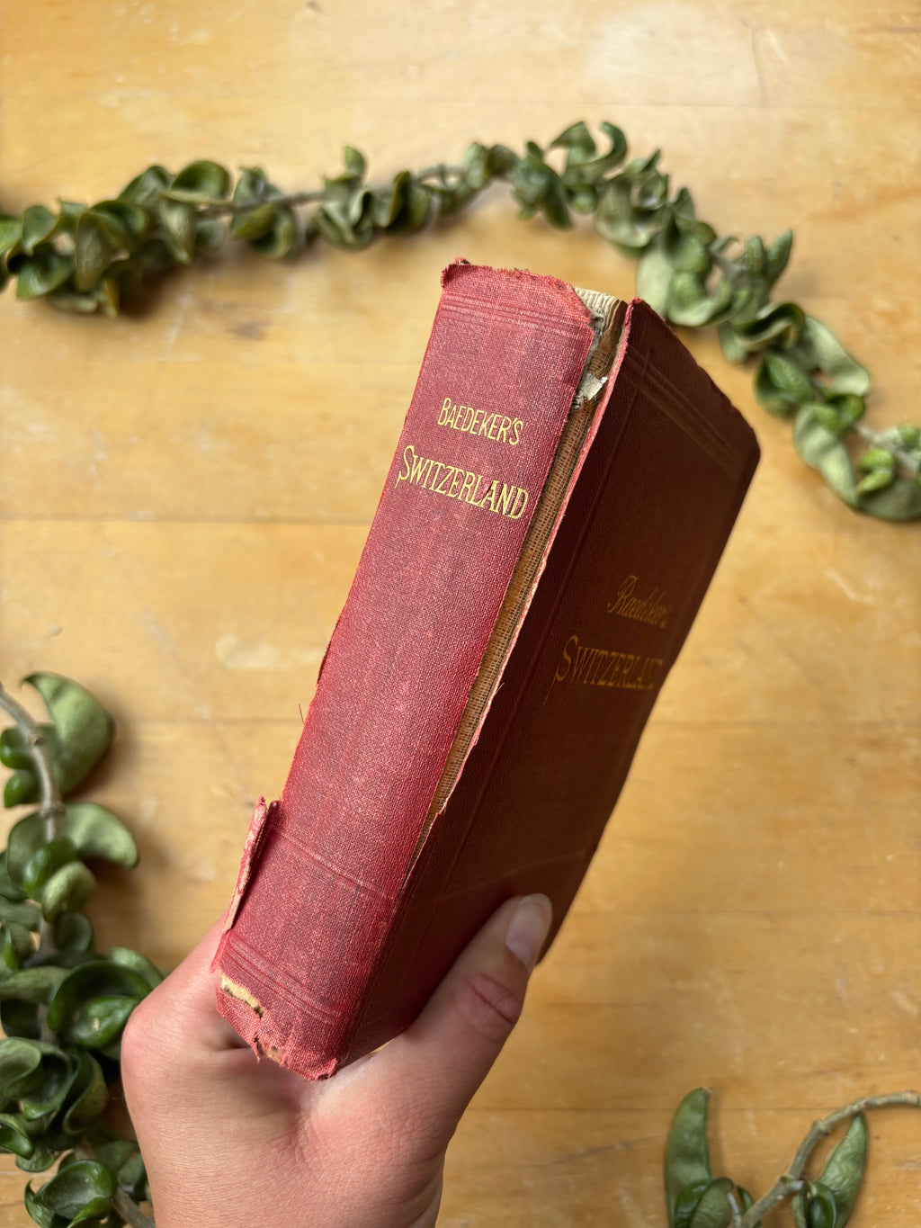 Baedeker's "Switzerland" Travel Book