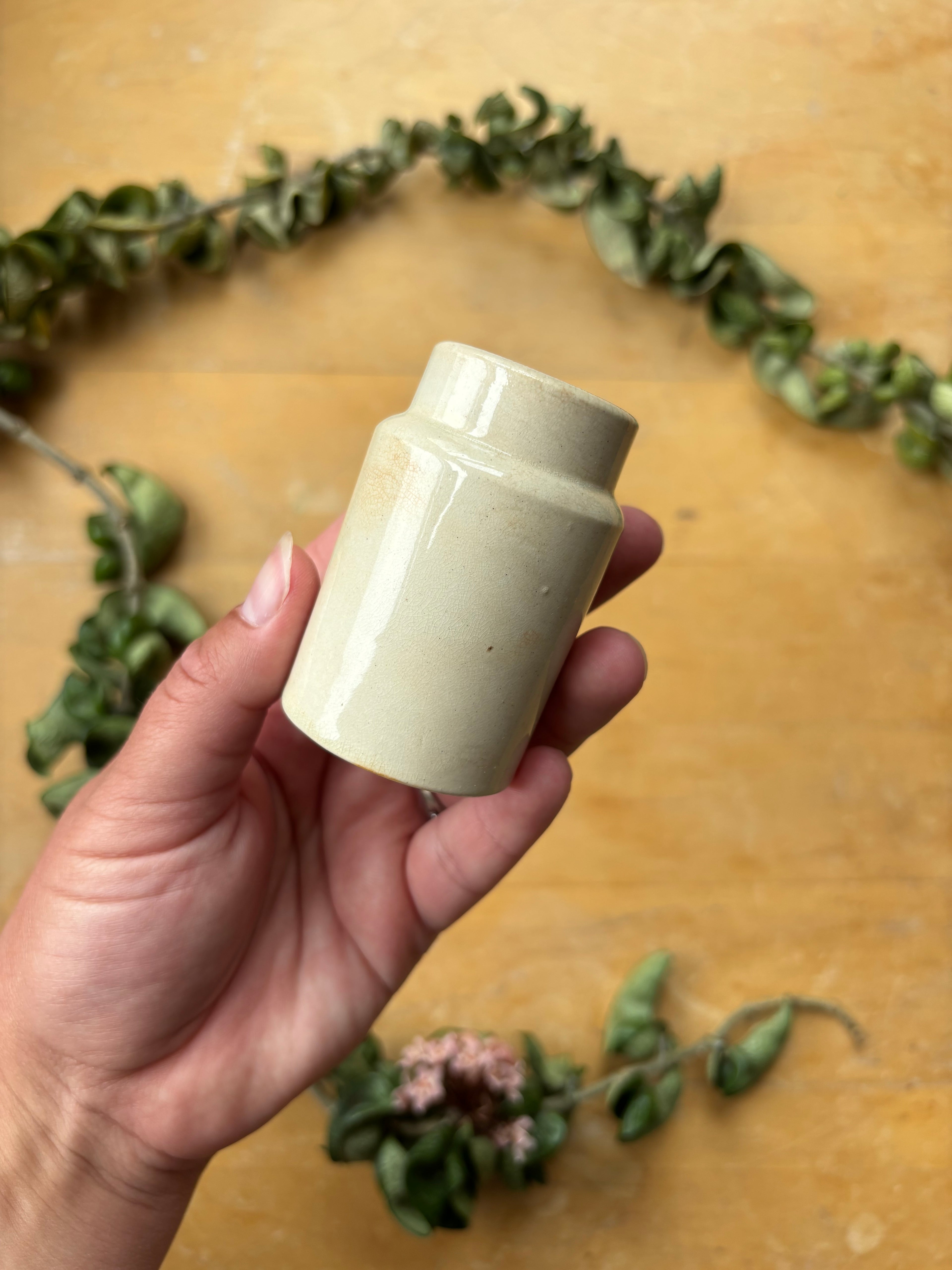 Miniature Moutard Terre de Fer Jar