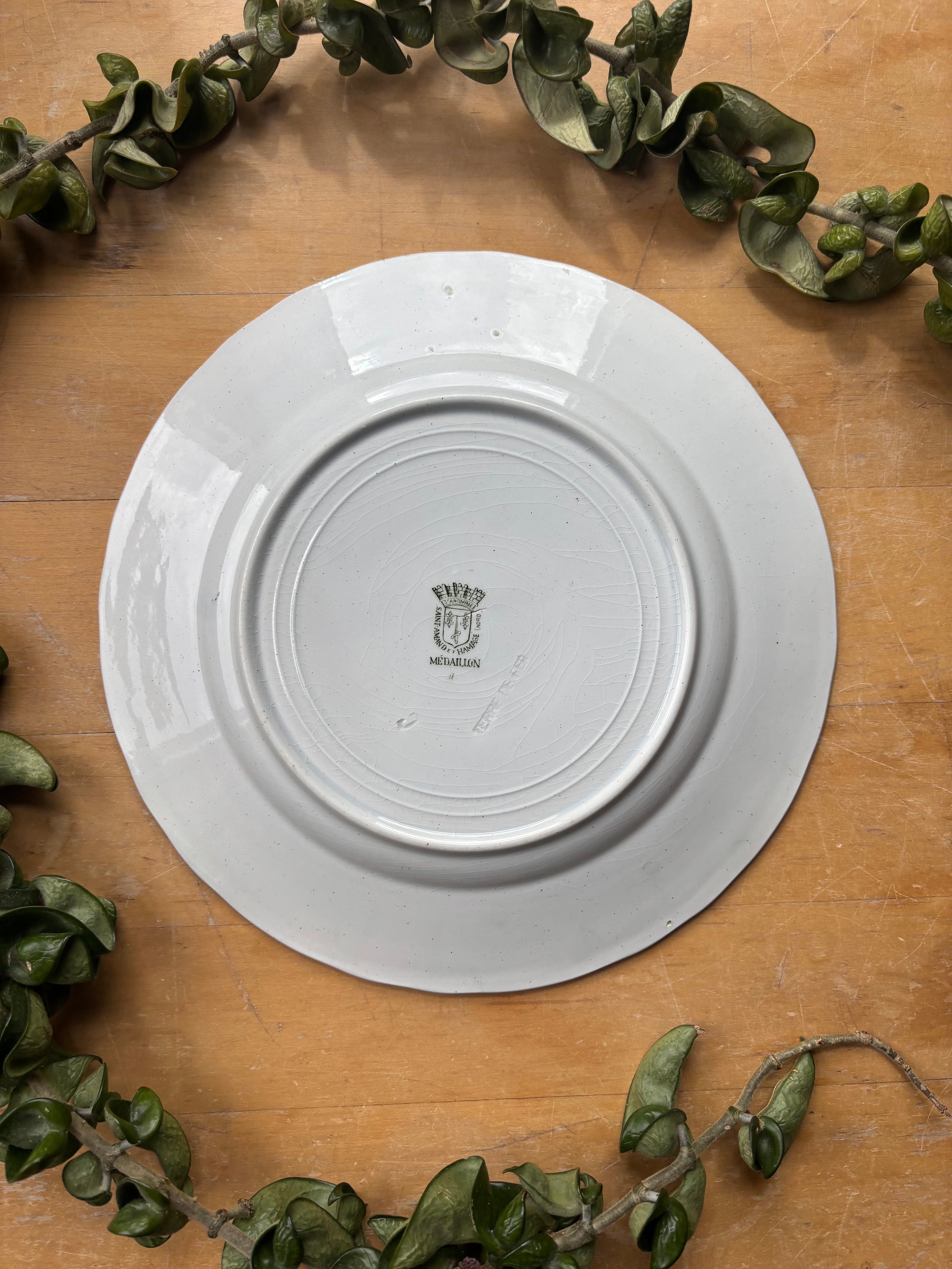 Medaillon by St. Amand et Hamages Transferware Plate