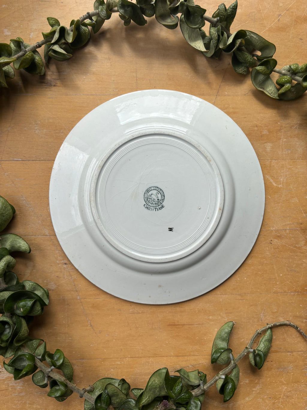 Christiane by St. Amand Transferware Plate