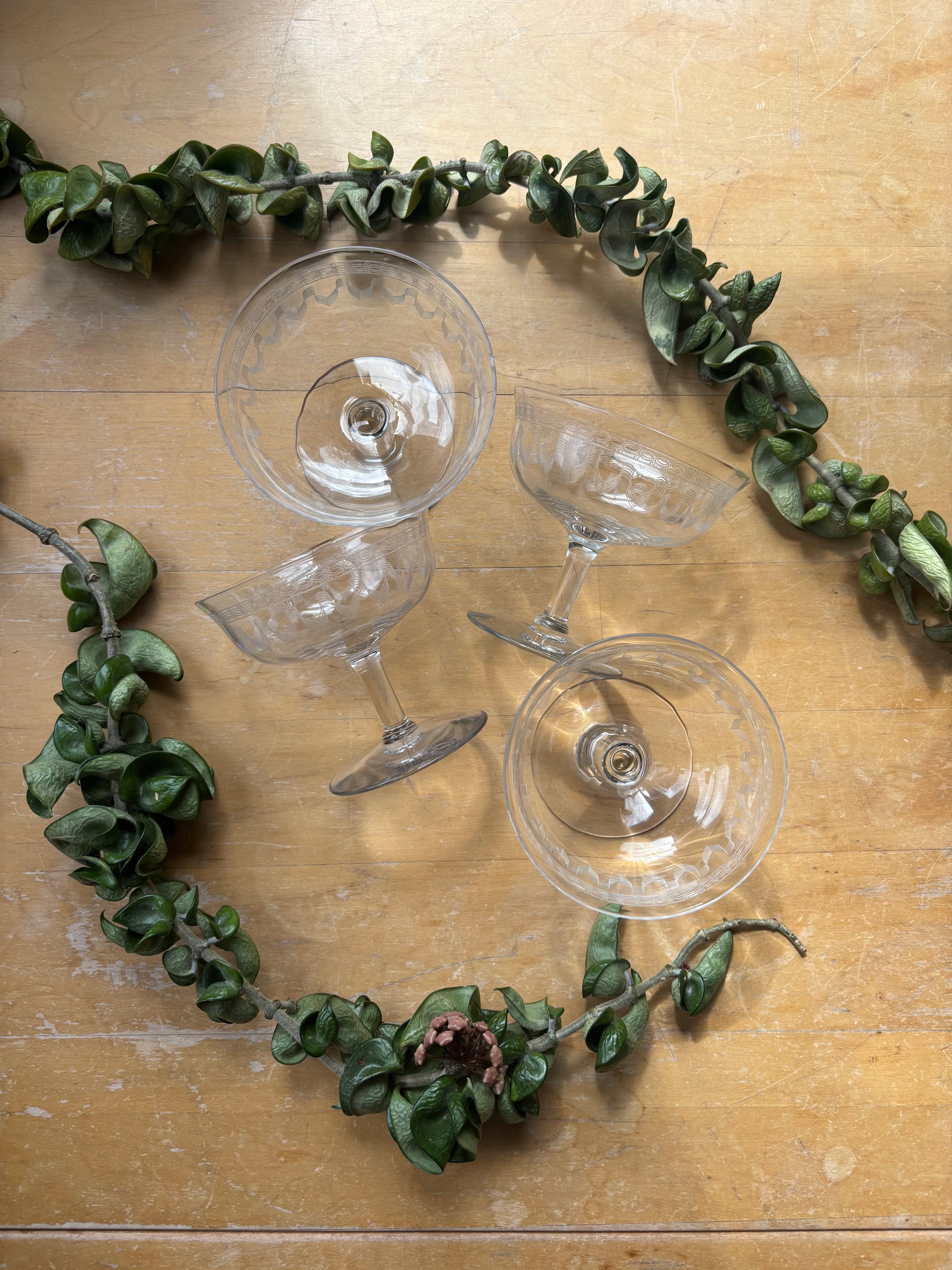 Fostoria "Lenore" Coupes - Set of 4