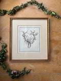 "Trophy" from "Livre de Trophees des Arts et Sciences" Antique Etching