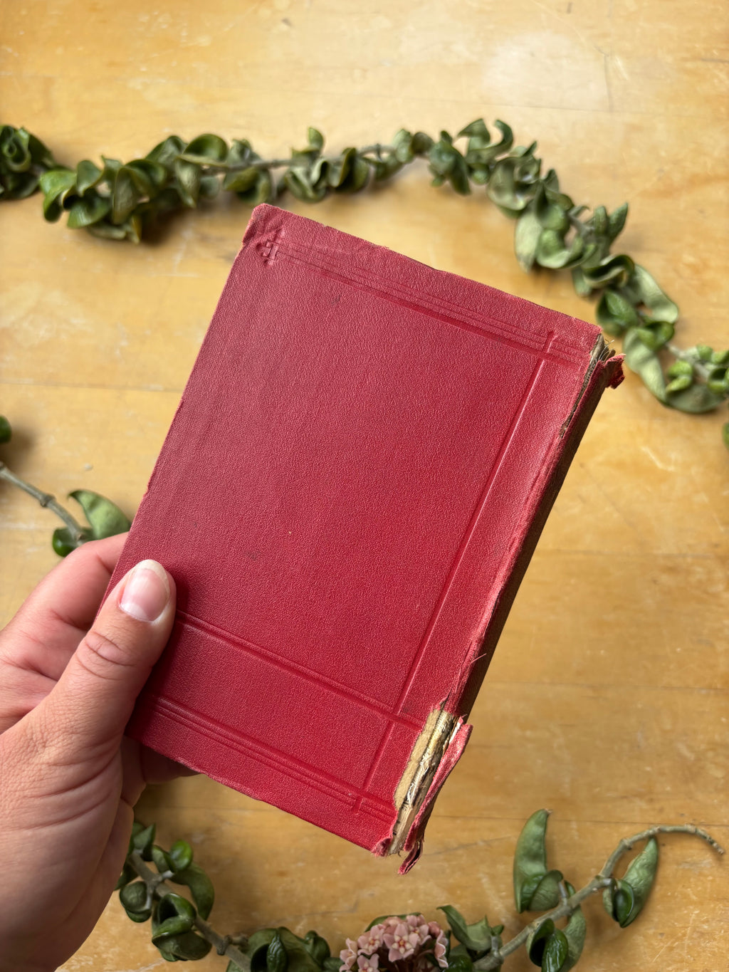 Baedeker's "Switzerland" Travel Book