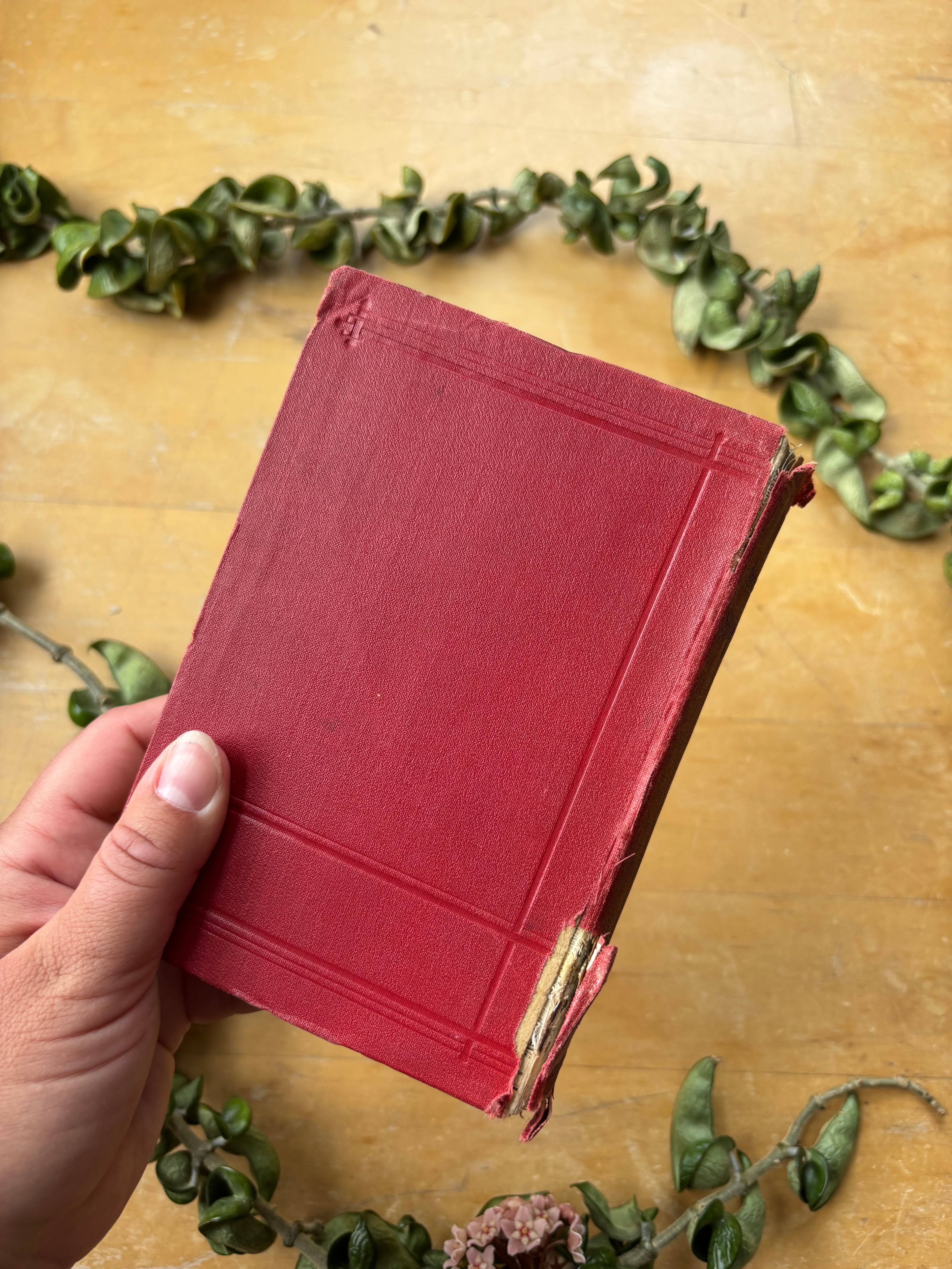 Baedeker's "Switzerland" Travel Book