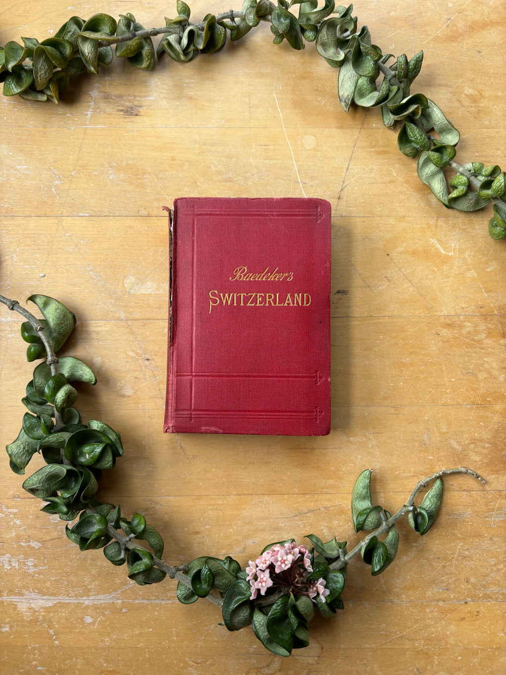 Baedeker's "Switzerland" Travel Book