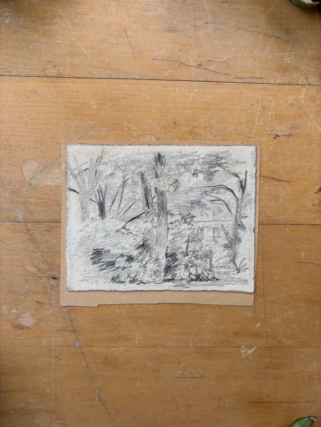 Woodland Cottage Pencil Sketch