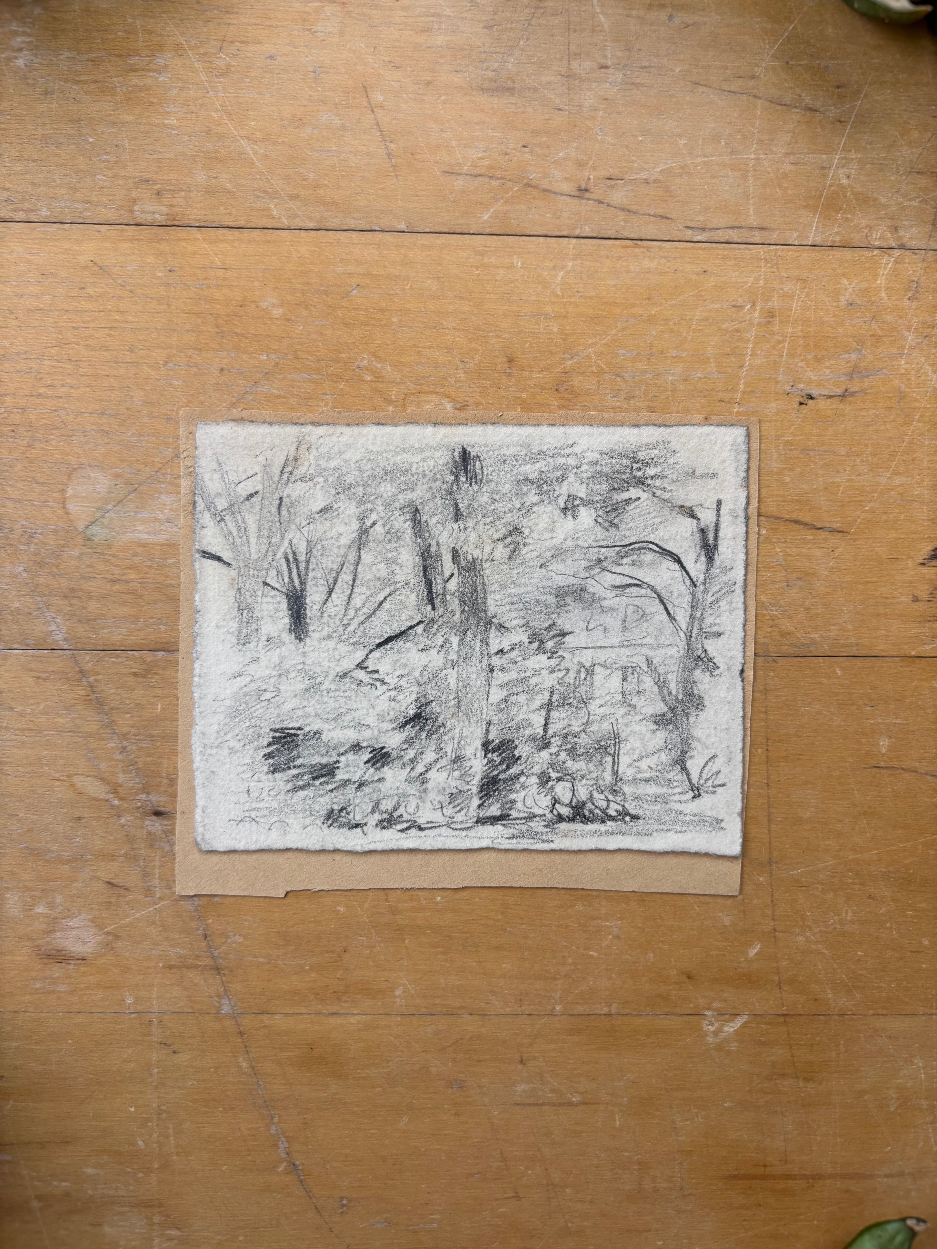 Woodland Cottage Pencil Sketch