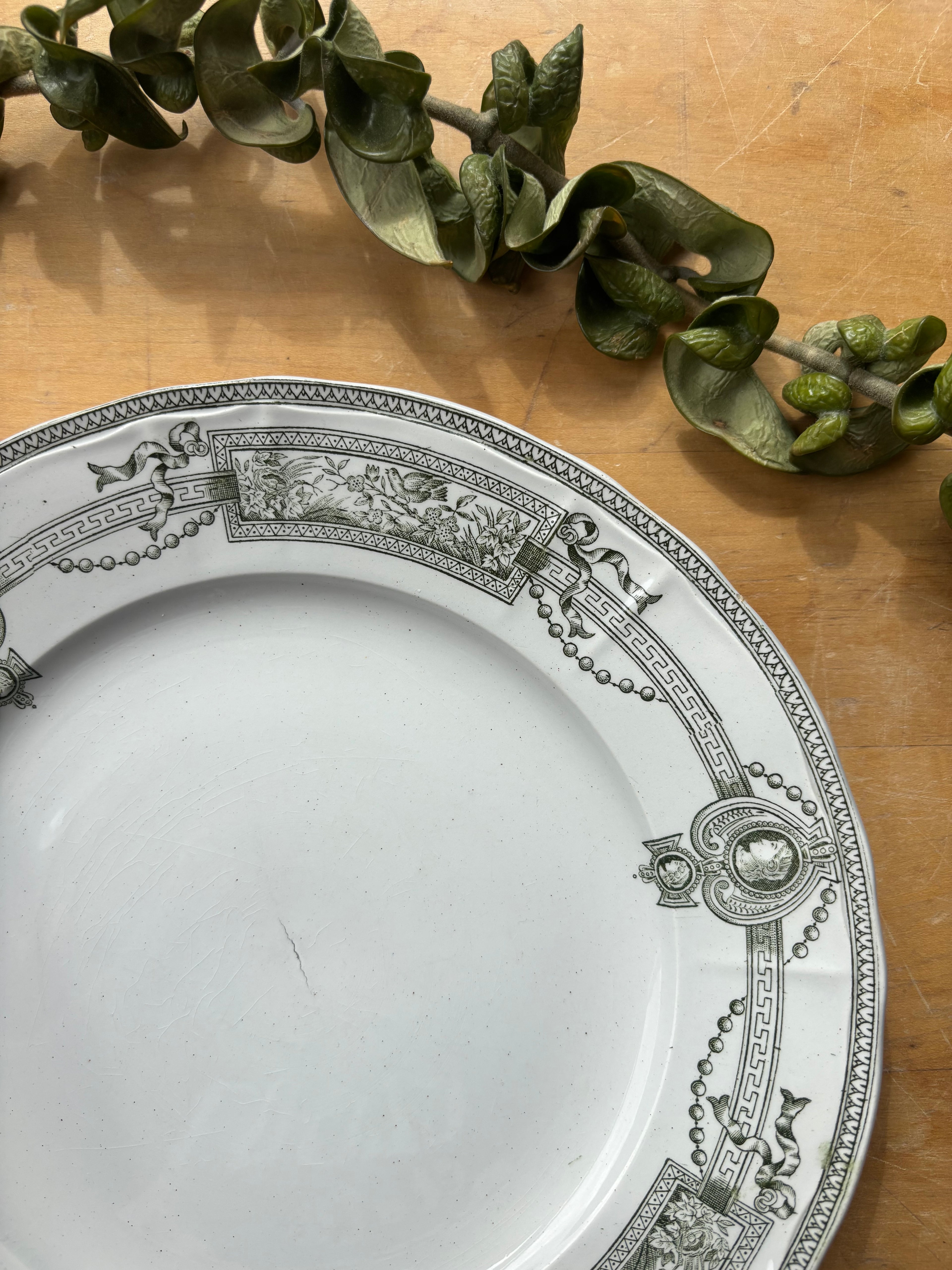 Medaillon by St. Amand et Hamages Transferware Plate