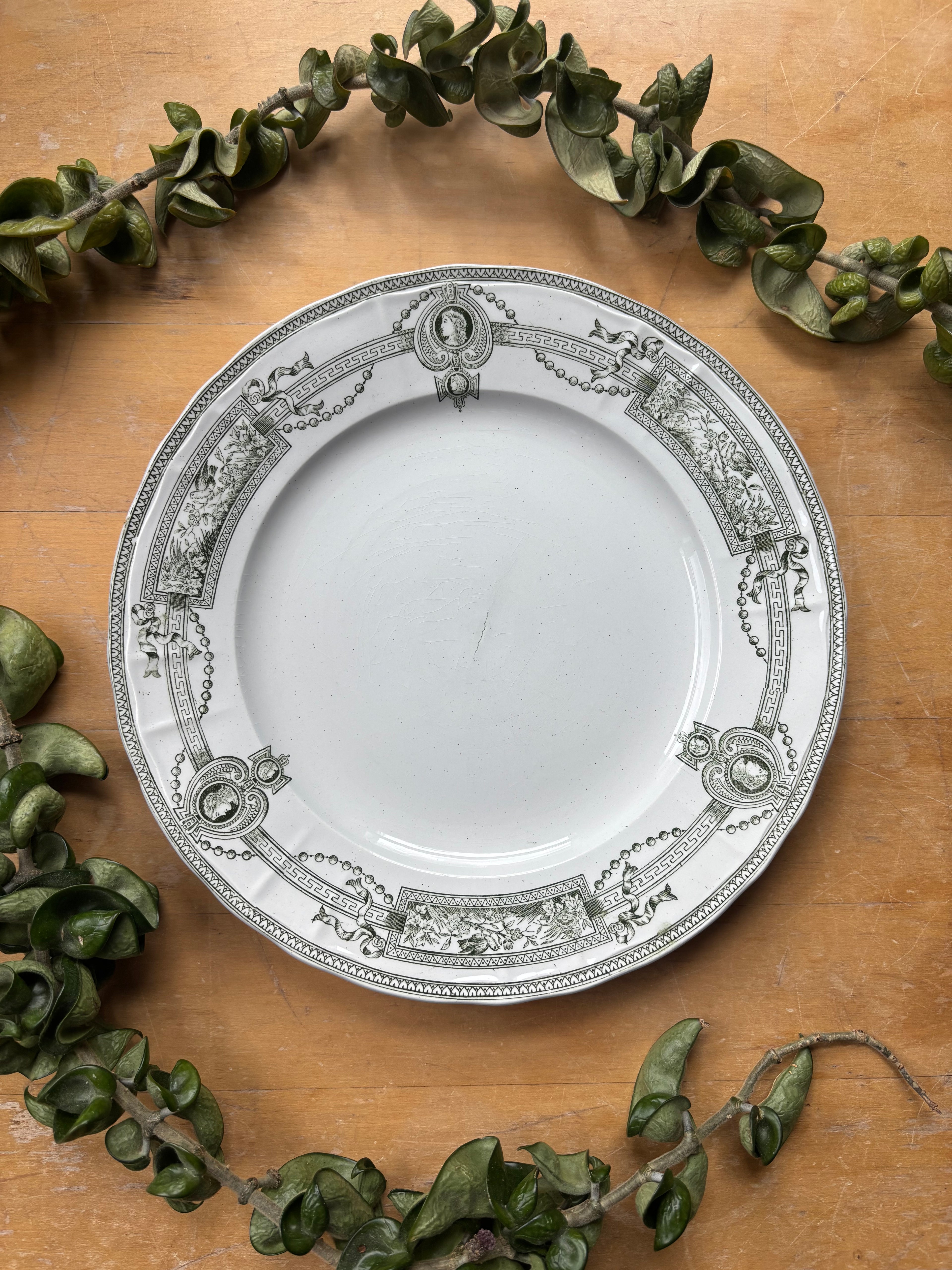 Medaillon by St. Amand et Hamages Transferware Plate