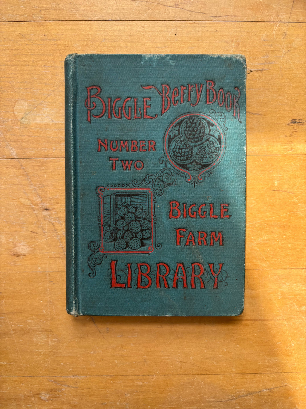 Biggle Berry Book